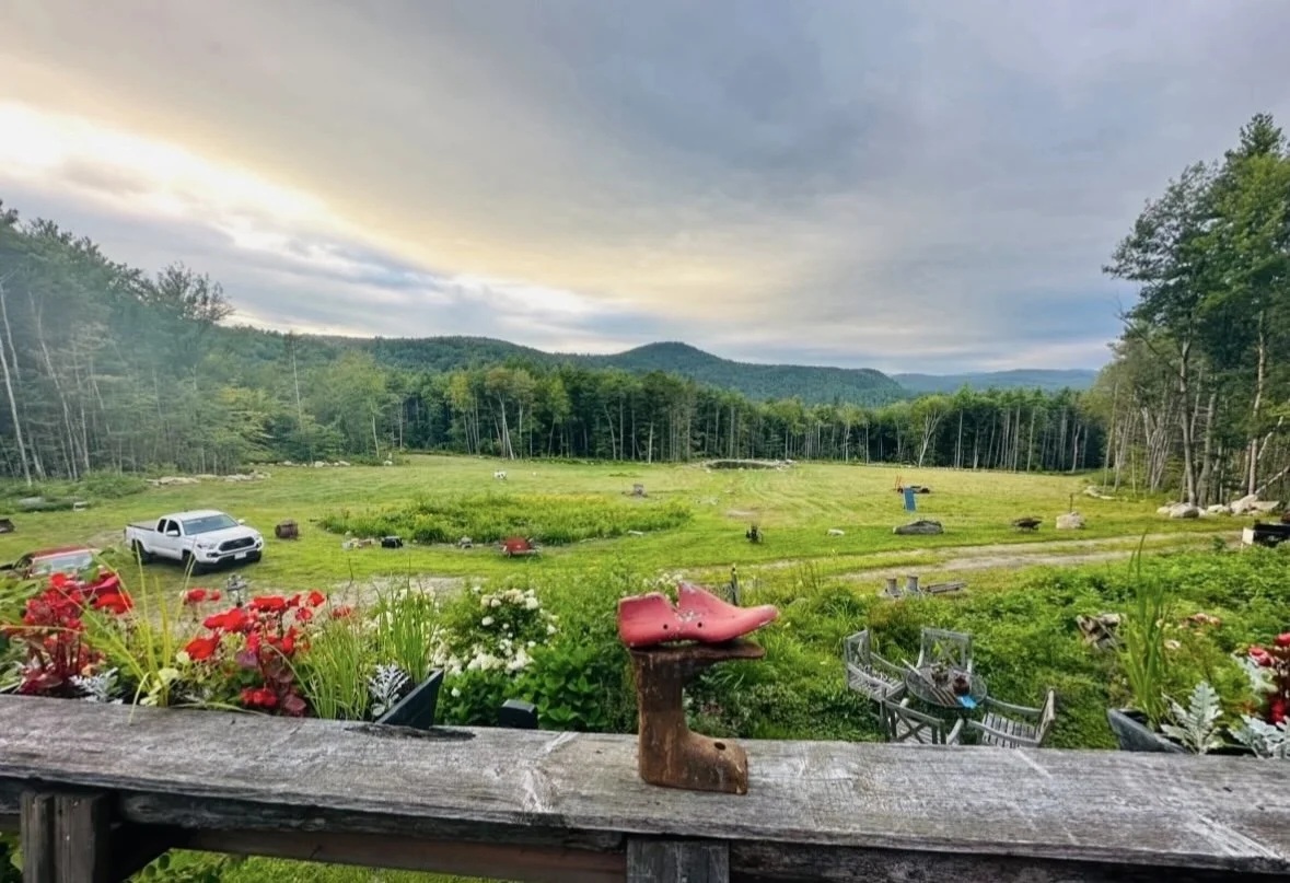 View from the cabin to the pond.