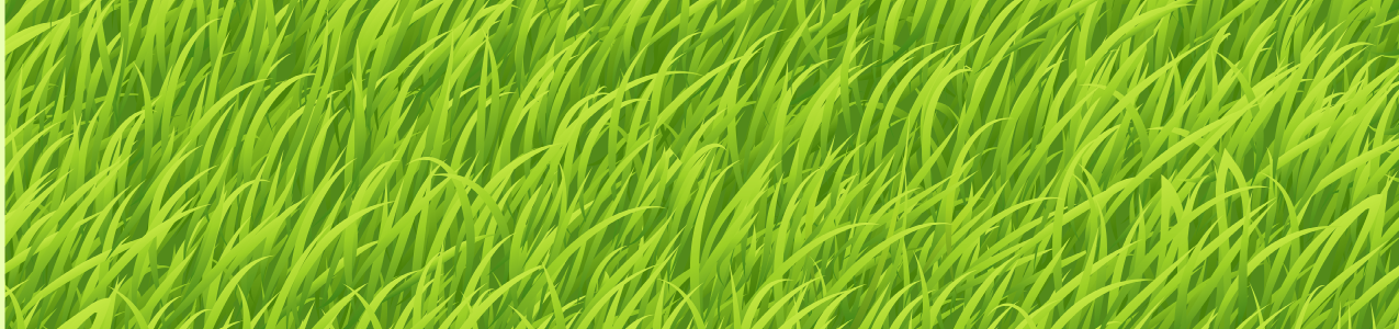 grasstest.png