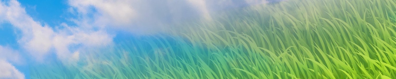 banner.jpg