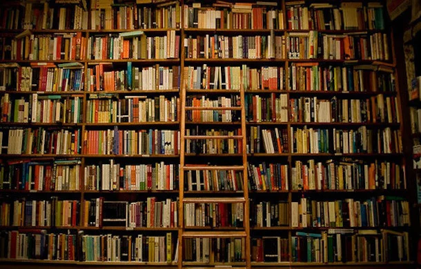 Why a Summer Reading List will Change Your Life