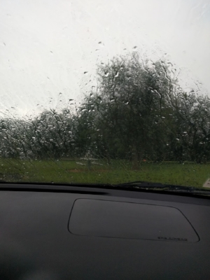 The view from our car that morning. 