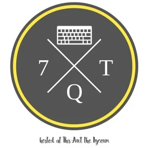 7qt.jpg