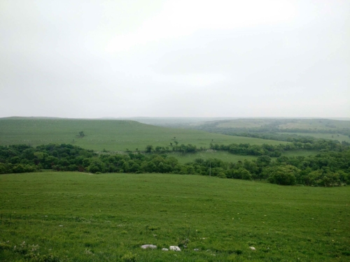 7 QT 46: Hikes, cocktails, and a giveaway!