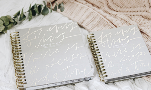 7 Quick Takes 66: Acrobats, Planners, and Polaroids 