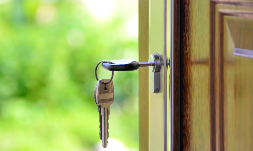 7 Quick Takes 71: Buying a Home, Burning My Arm, and Bunny Rehoming 