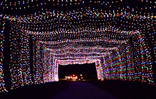 Space Coast Lightfest - Support our Troop and Pack!