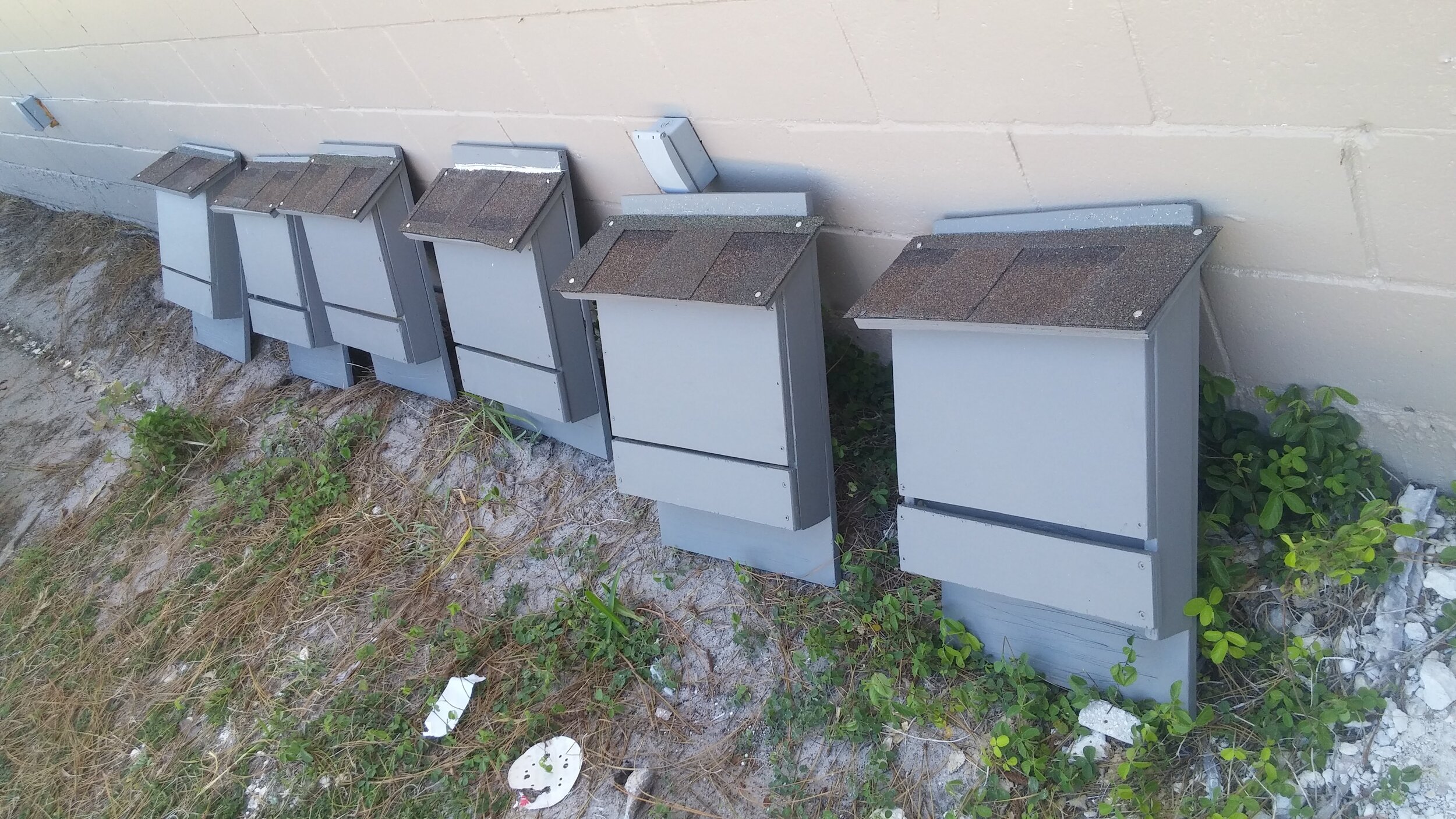 Six three-chamber Bat Houses Completed!
