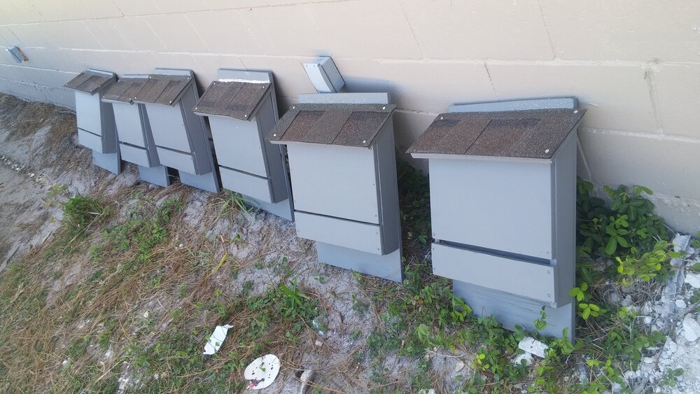 Six three-chamber Bat Houses Completed!