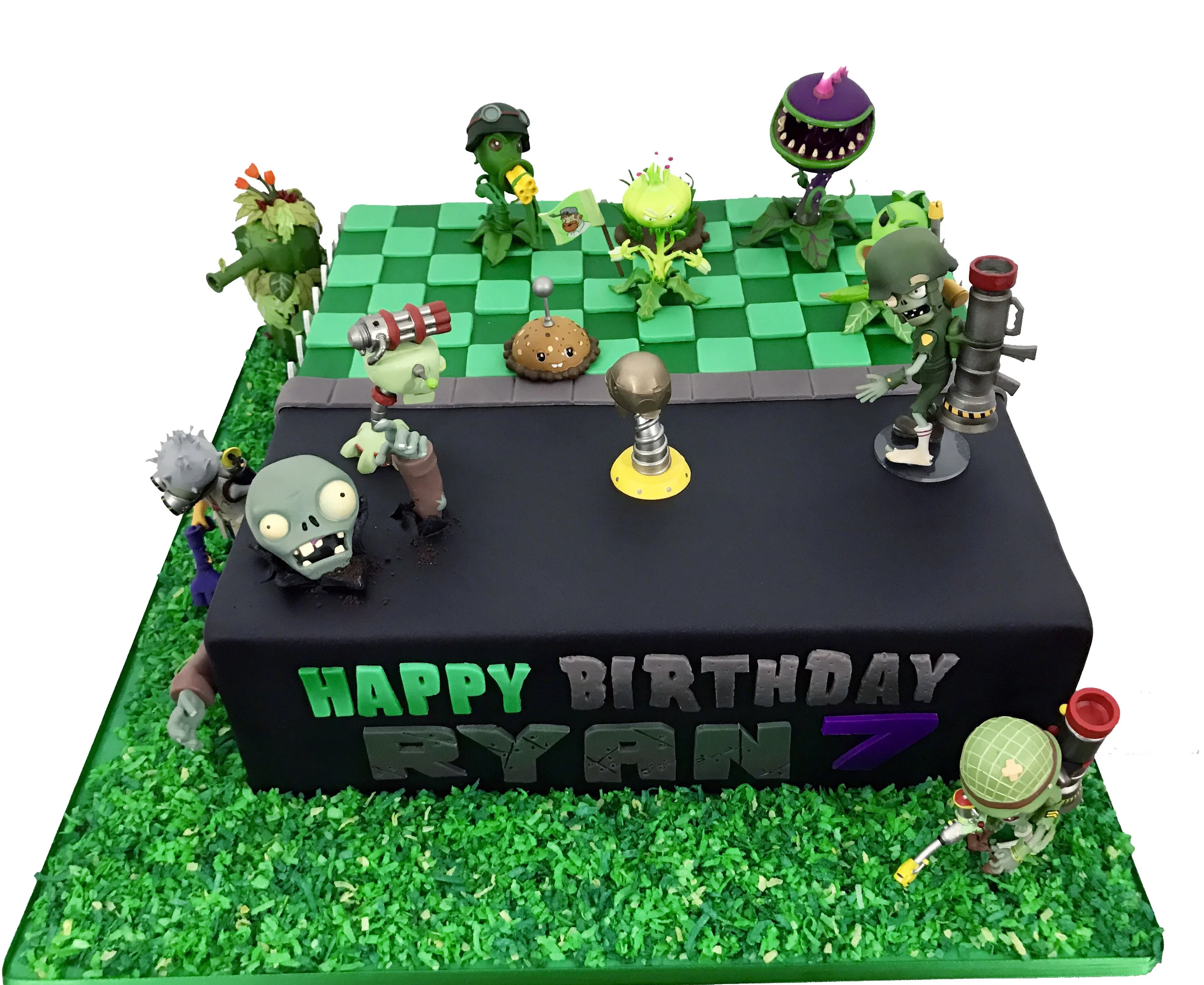 Plants Vs Zombies Birthday Cake Plants Vs Zombies Birthday Cake
