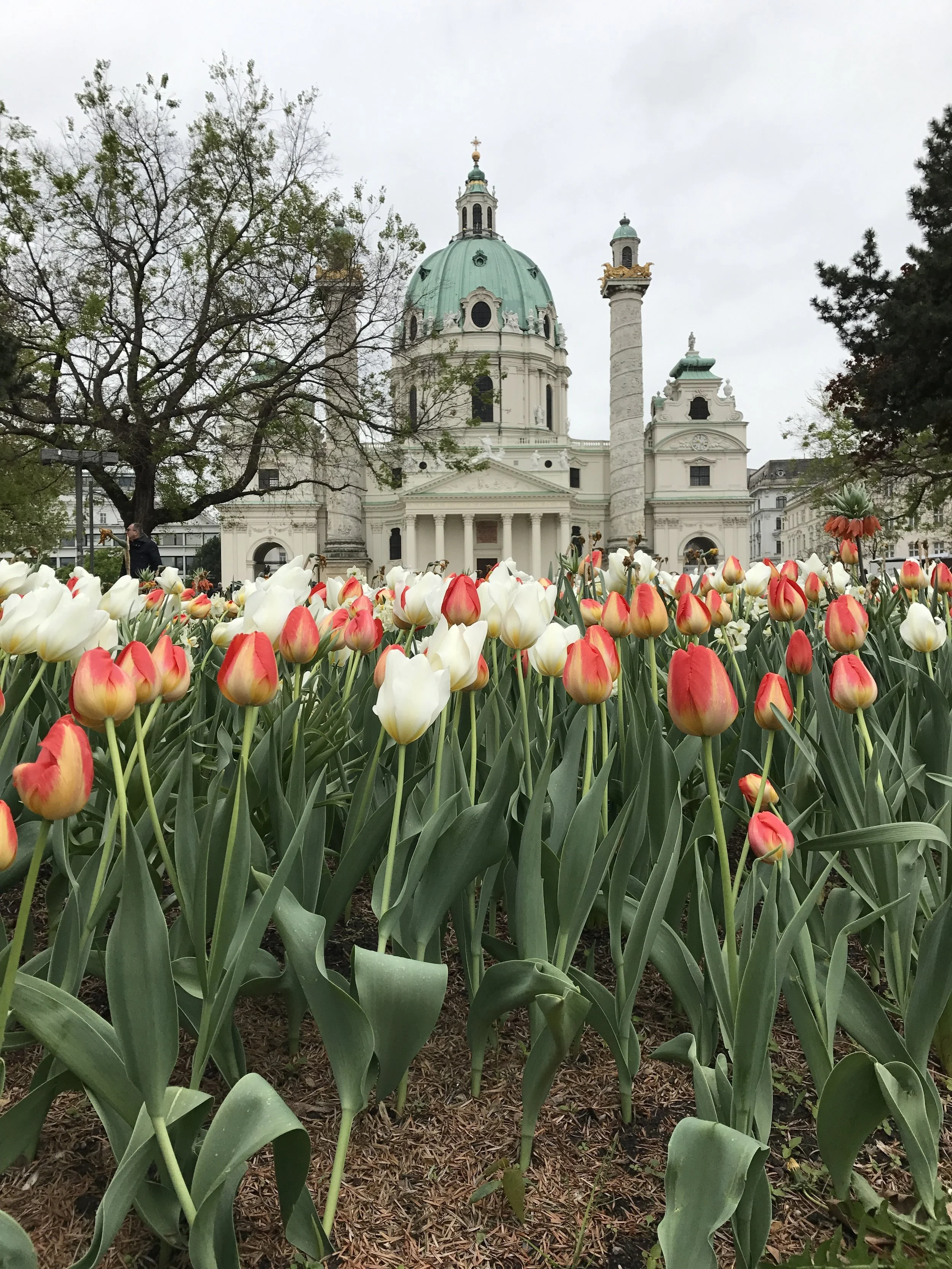 Karlskirche, Wien
