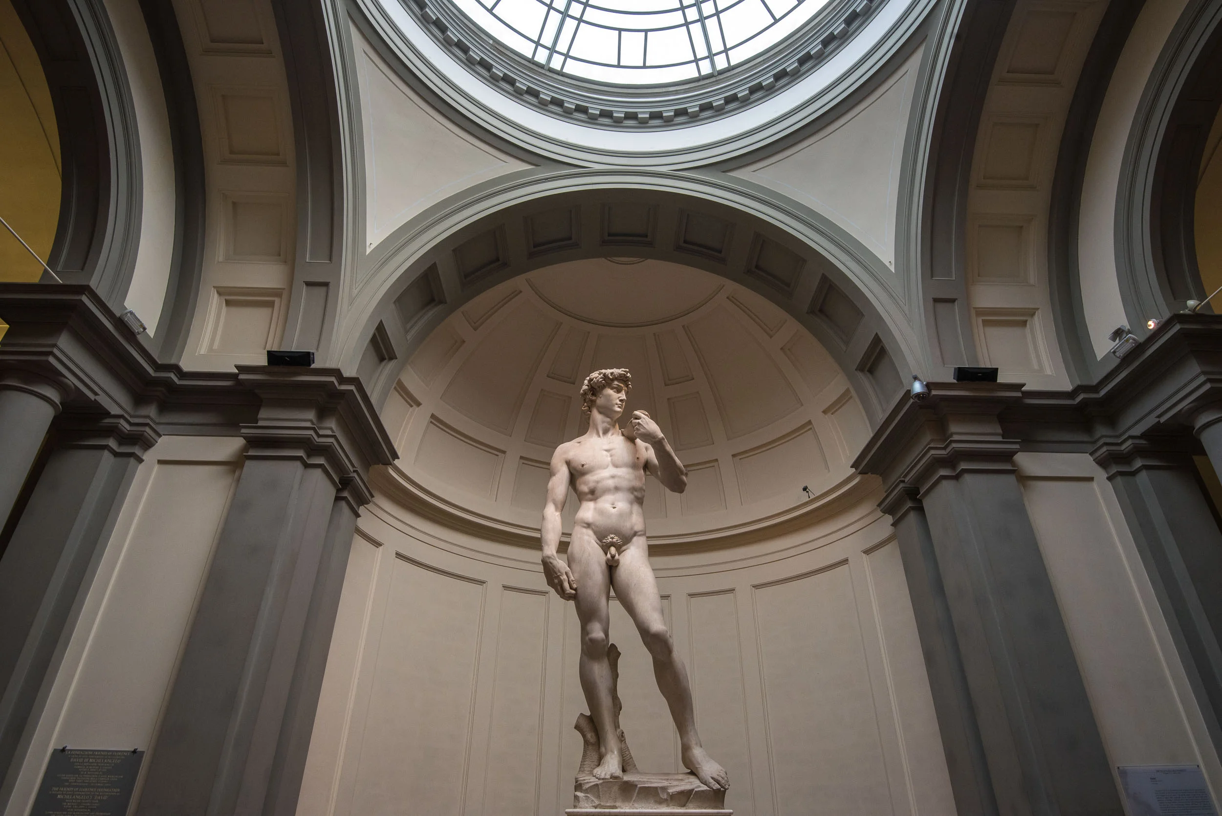 The David