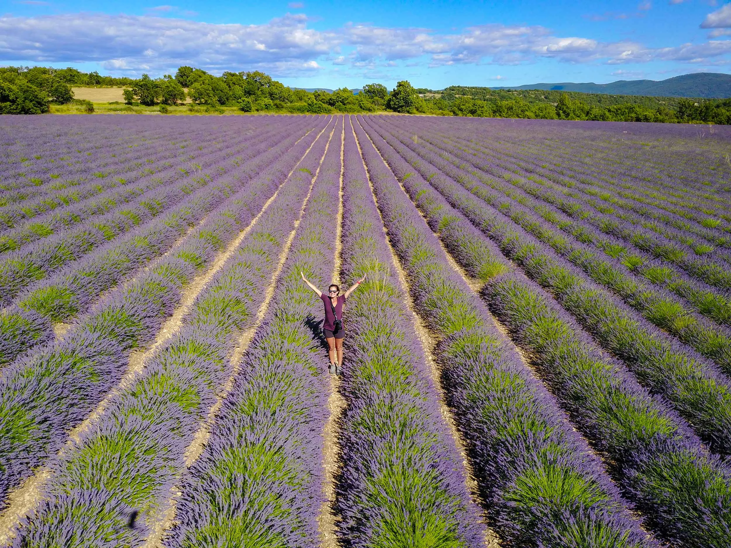 Purple!
