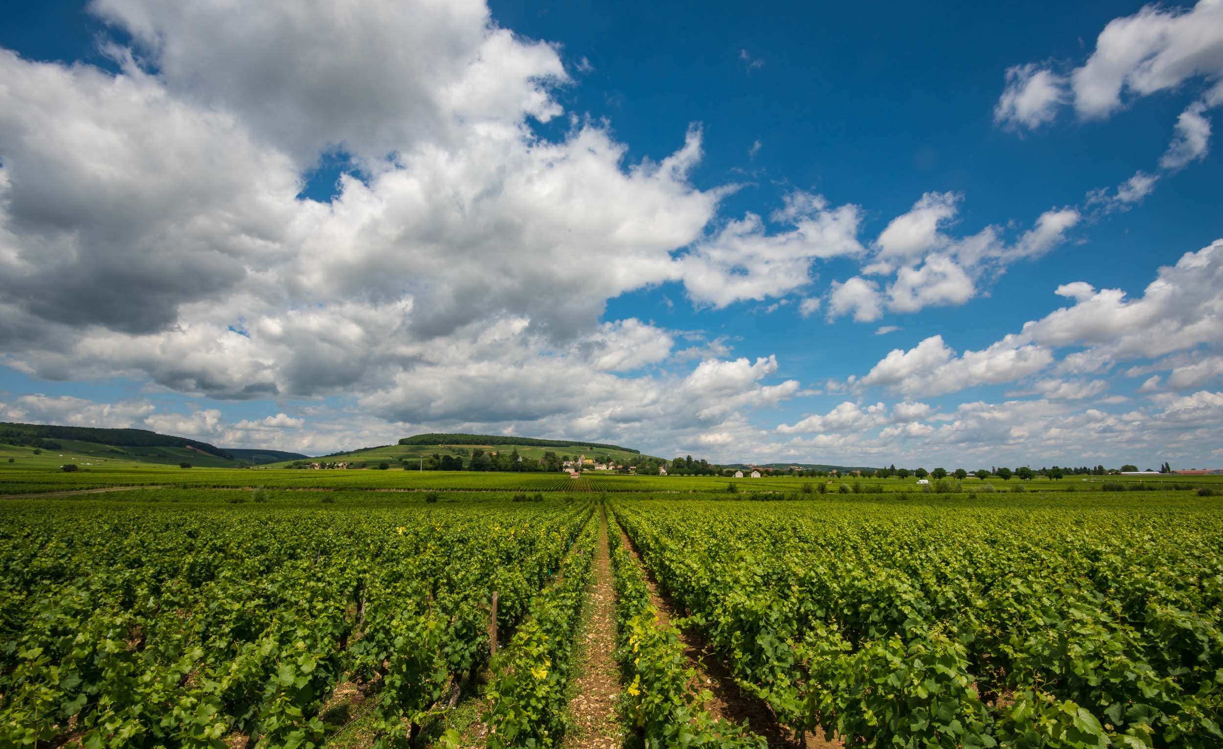  Burgundy, France 