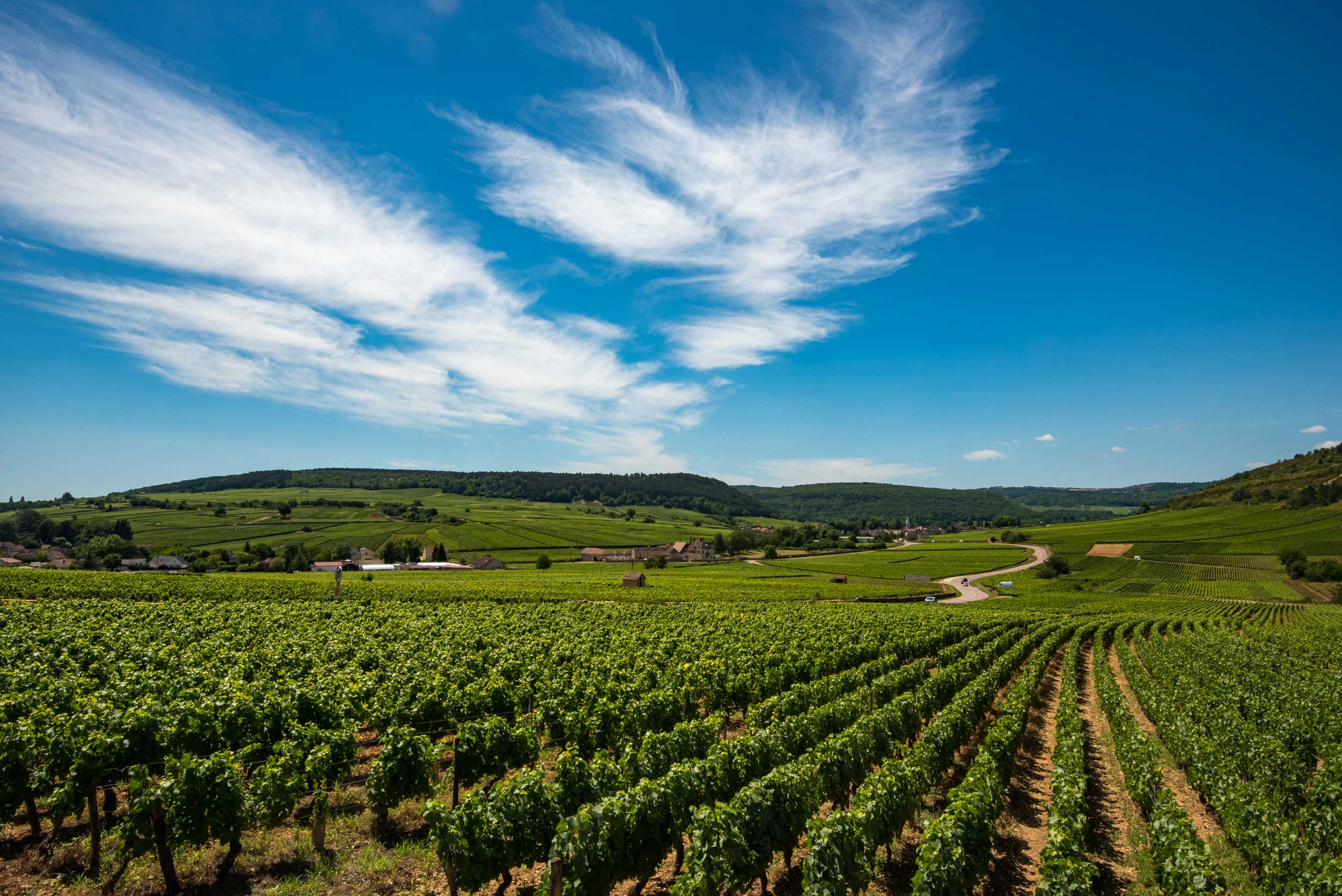  Meursault, France 