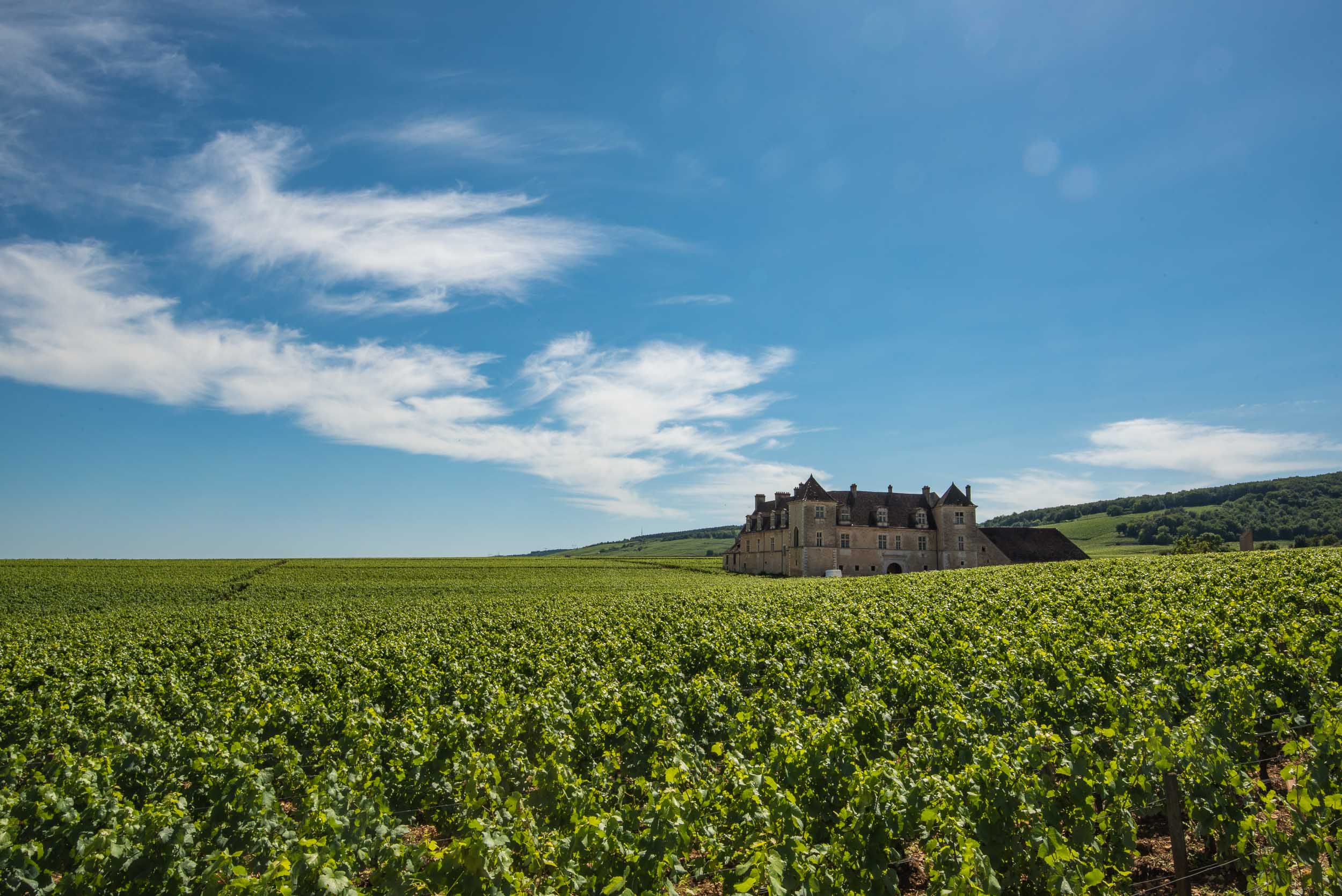  Burgundy, France 