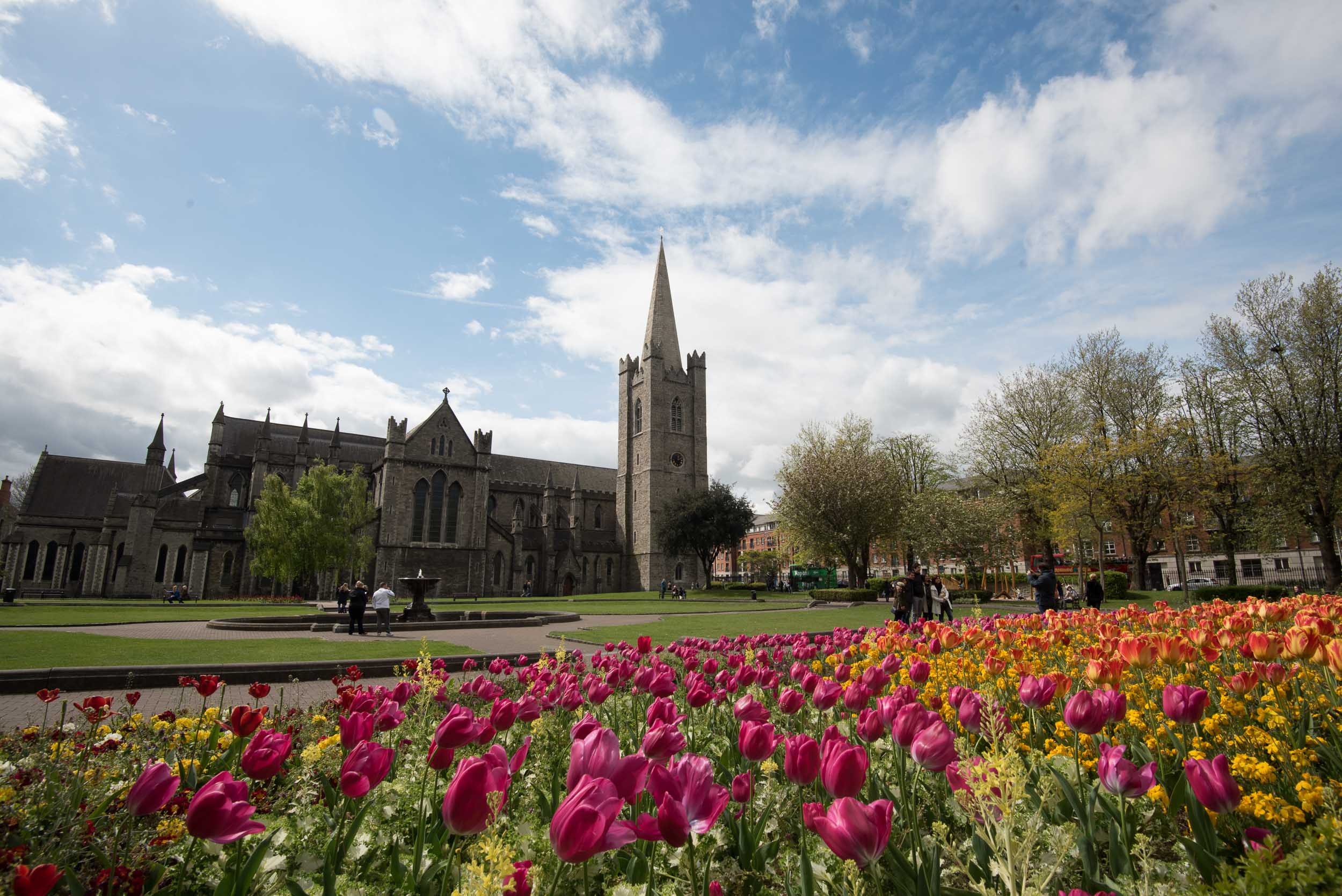 St. Patrick's Cathedral