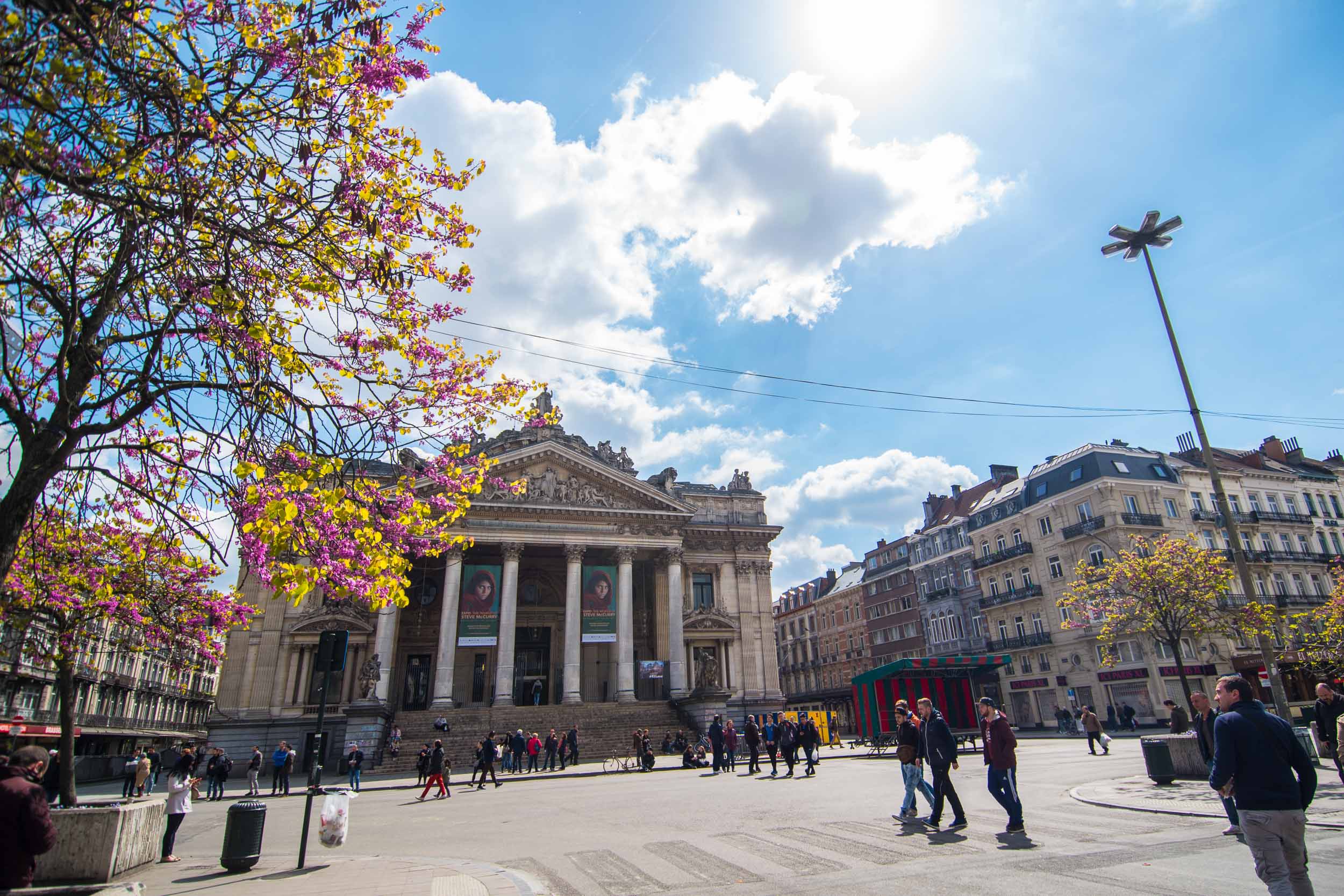 20170423Brussels, Belgium-015.jpg