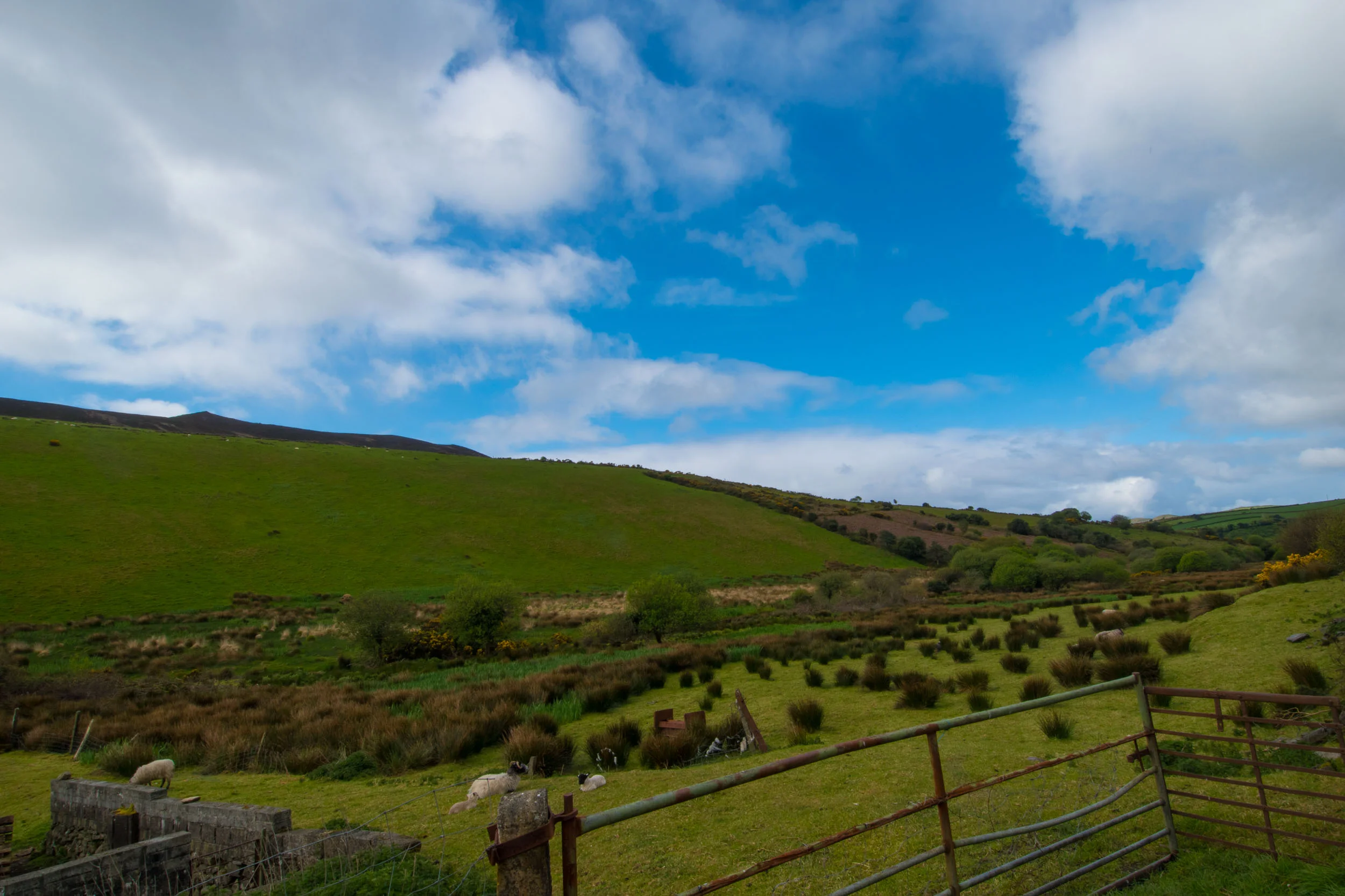 20170427Ireland-001.jpg