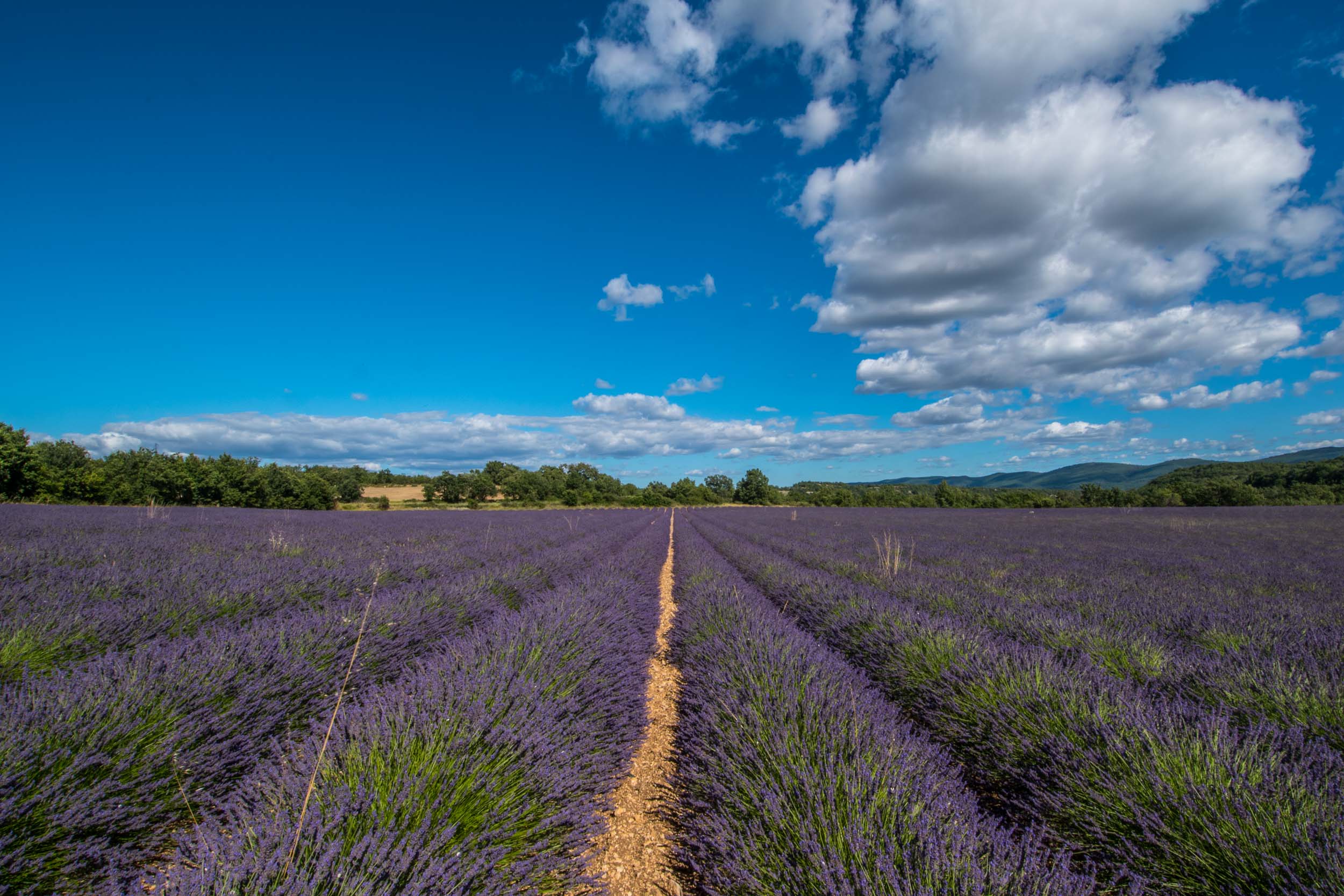 20170701France206.jpg