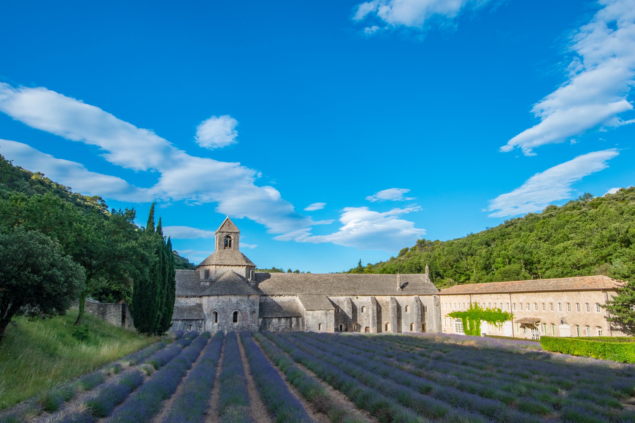 20170702France246.jpg