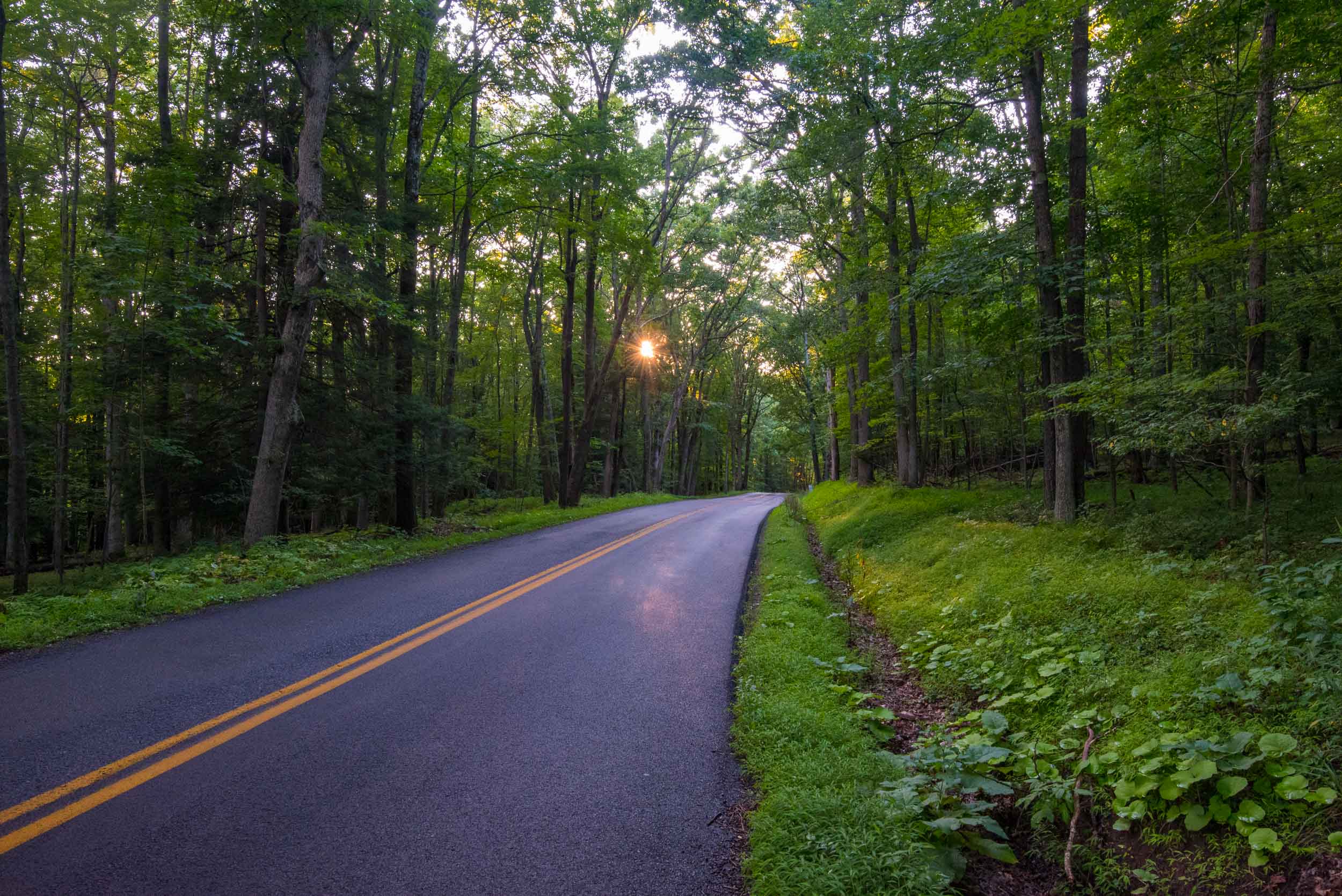 Country Road