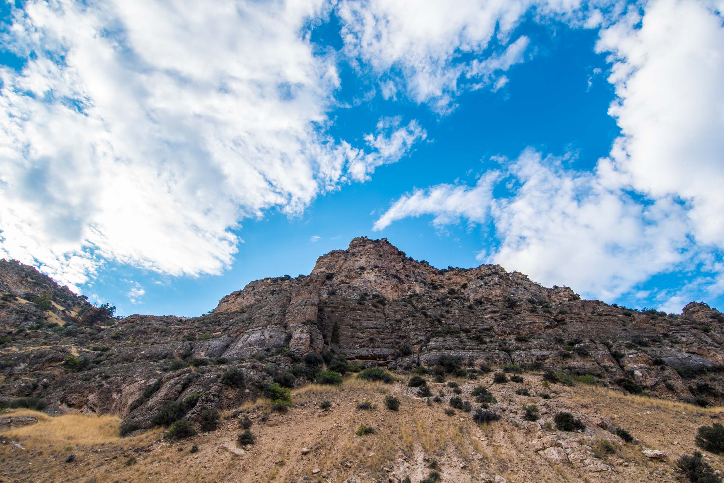 Big Horn National Forest