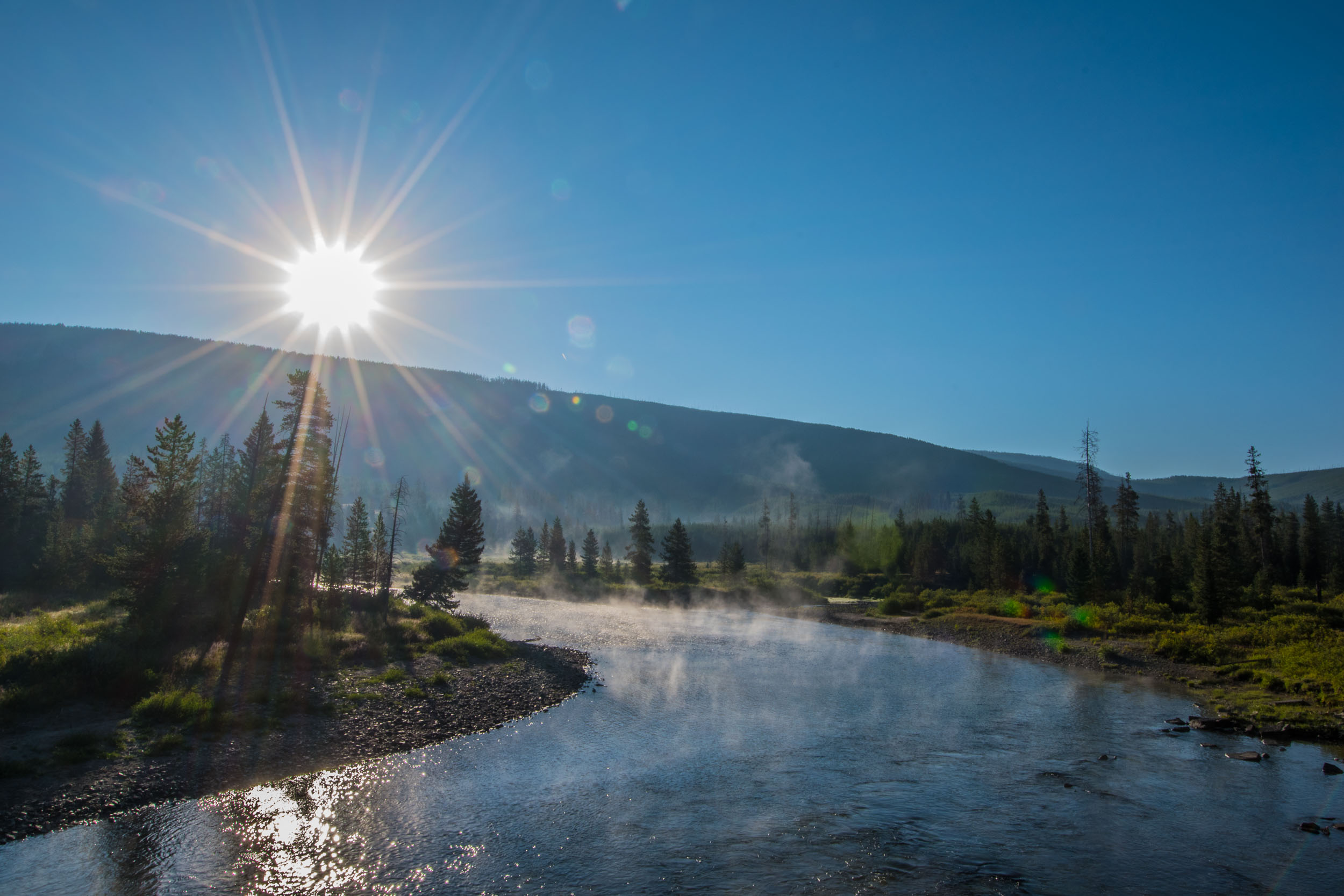 Morning Light