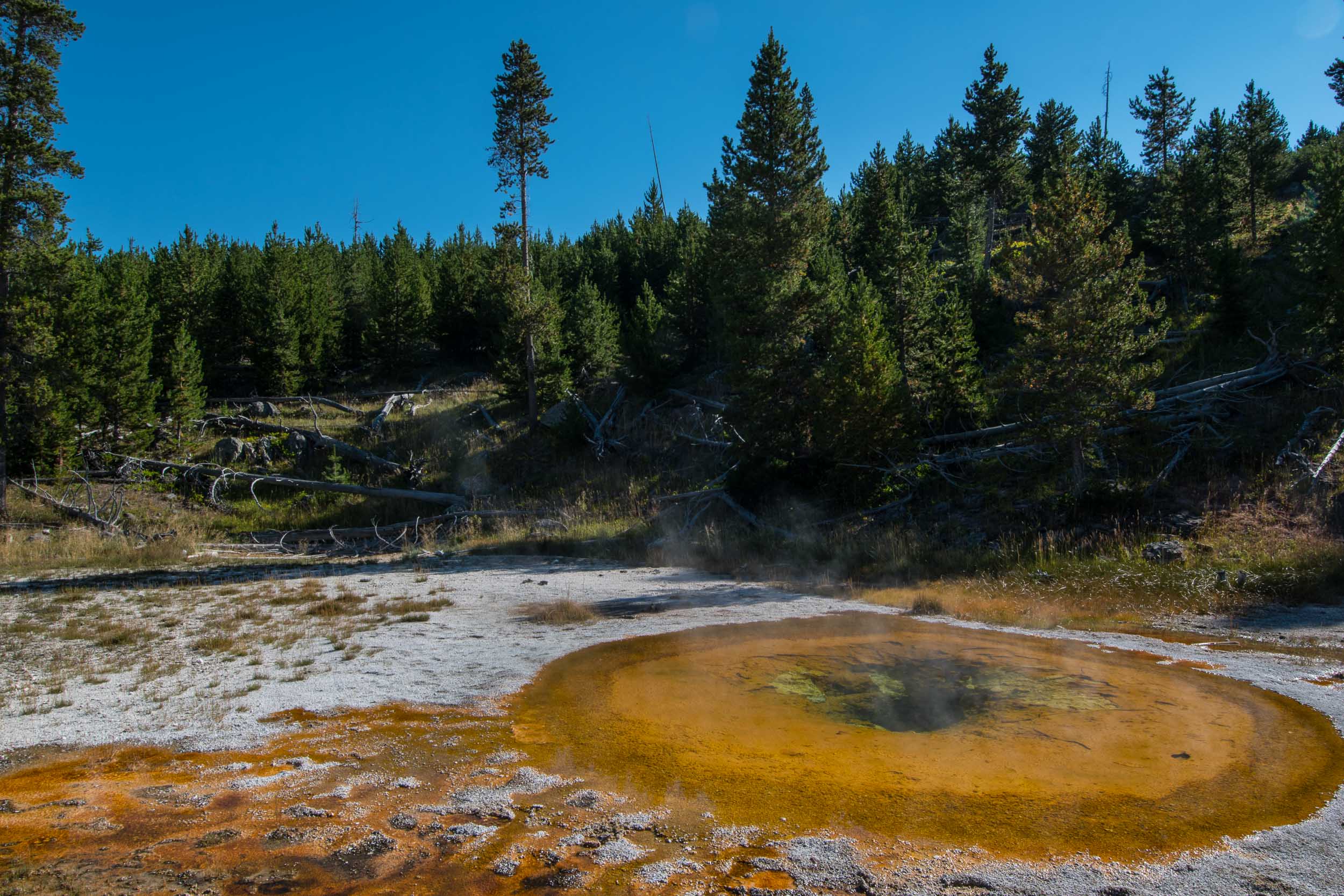  Yellowstone National Park 