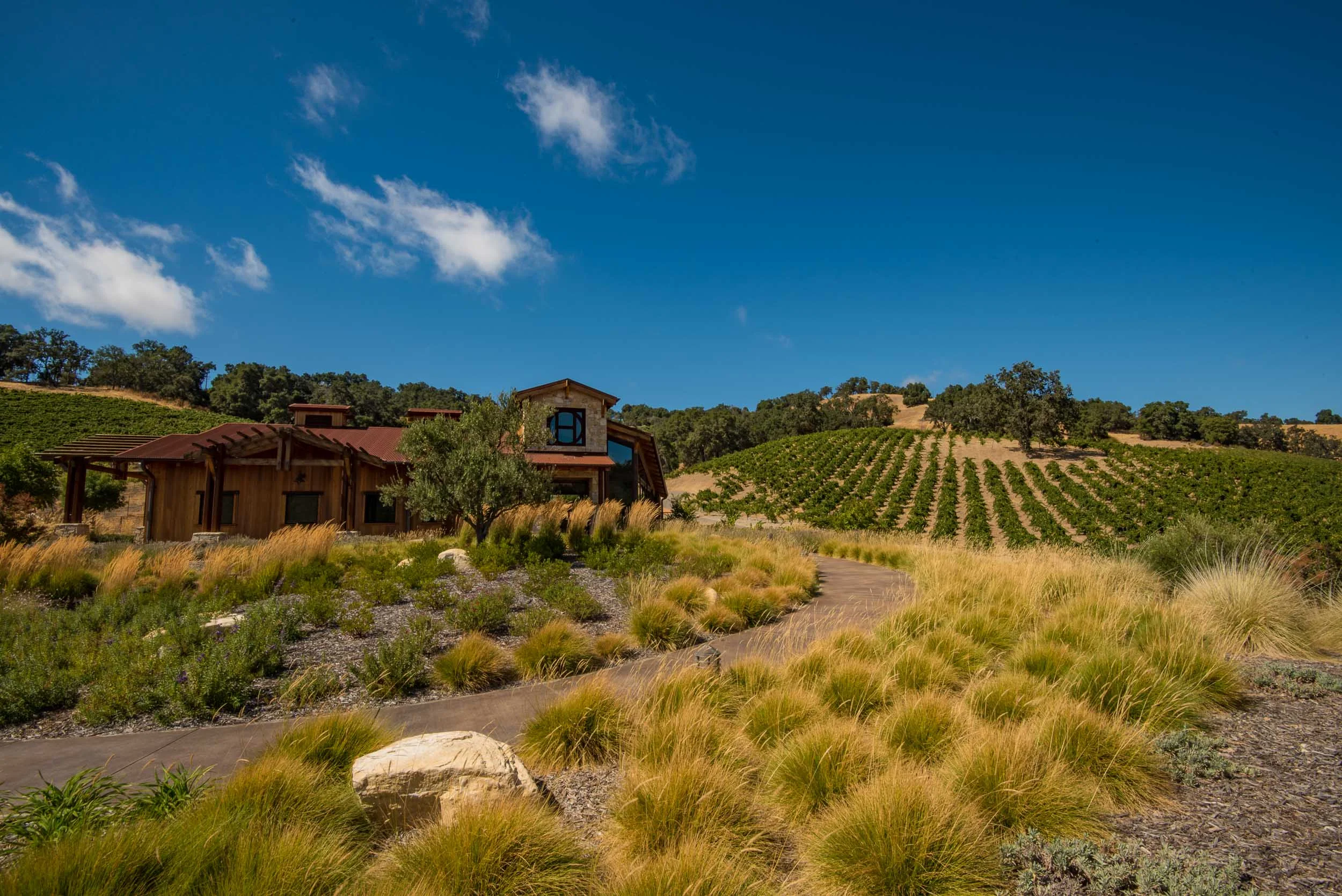 Halter Ranch in Paso Rables