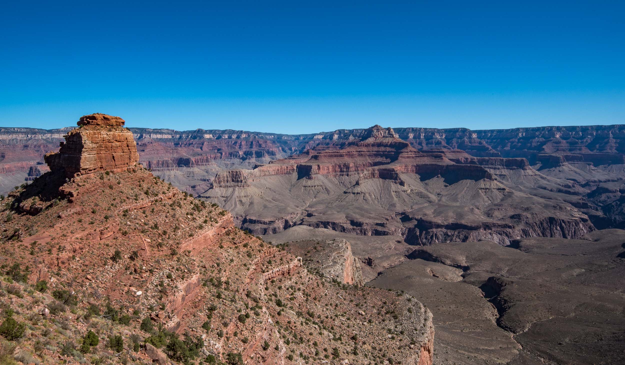 In the Canyon