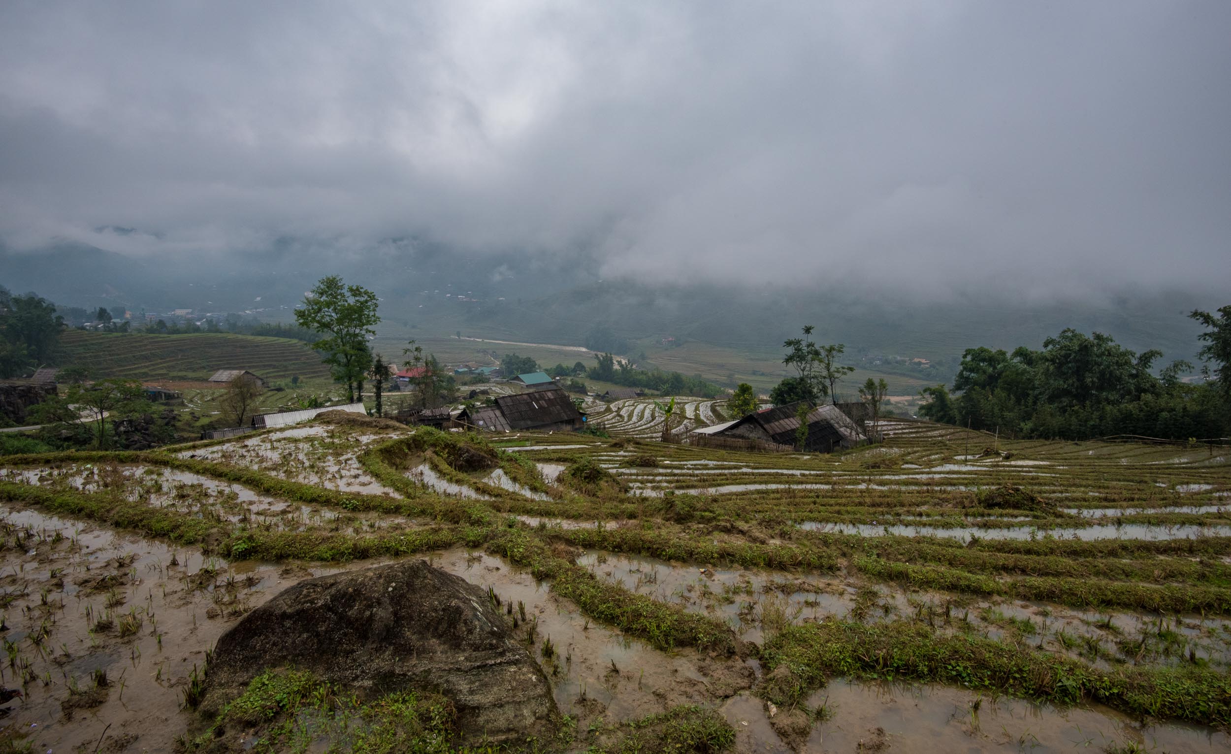 Terraces