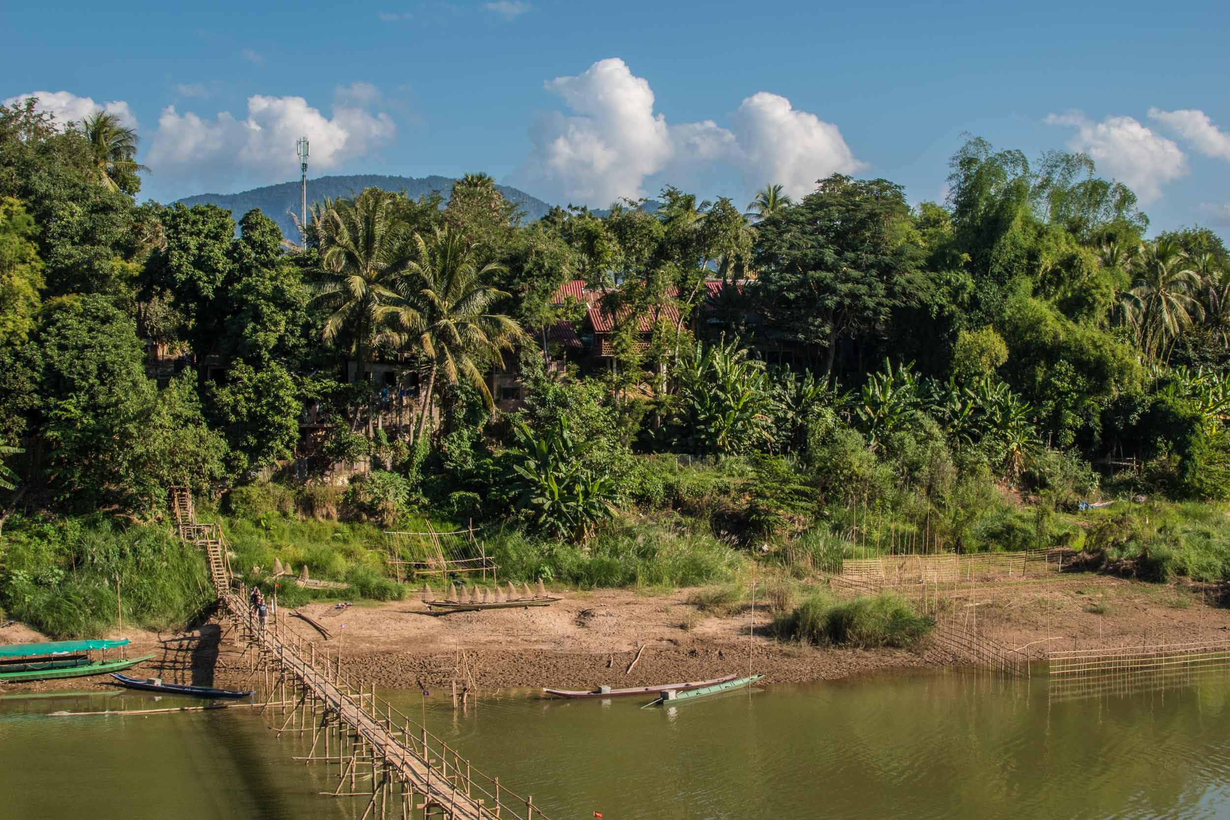 Bamboo bridge