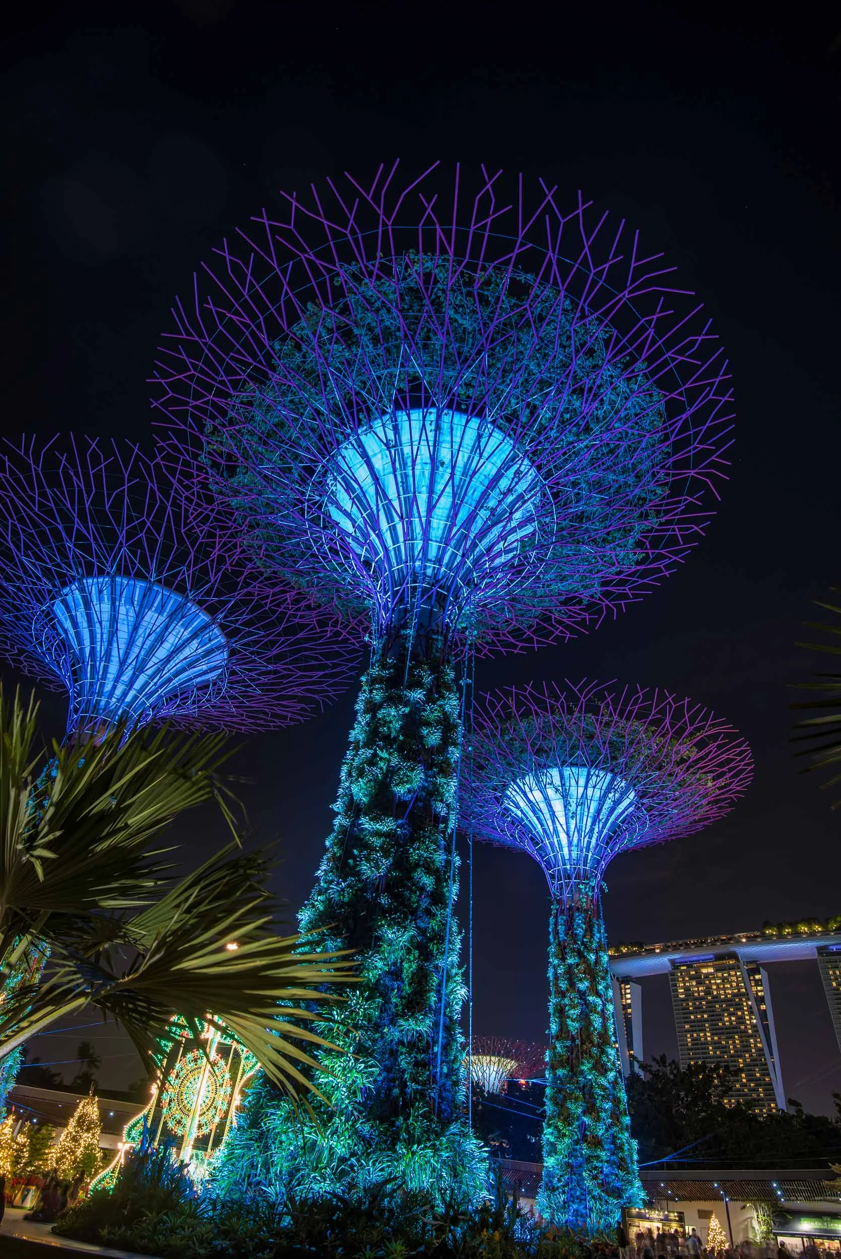 Supertree Grove