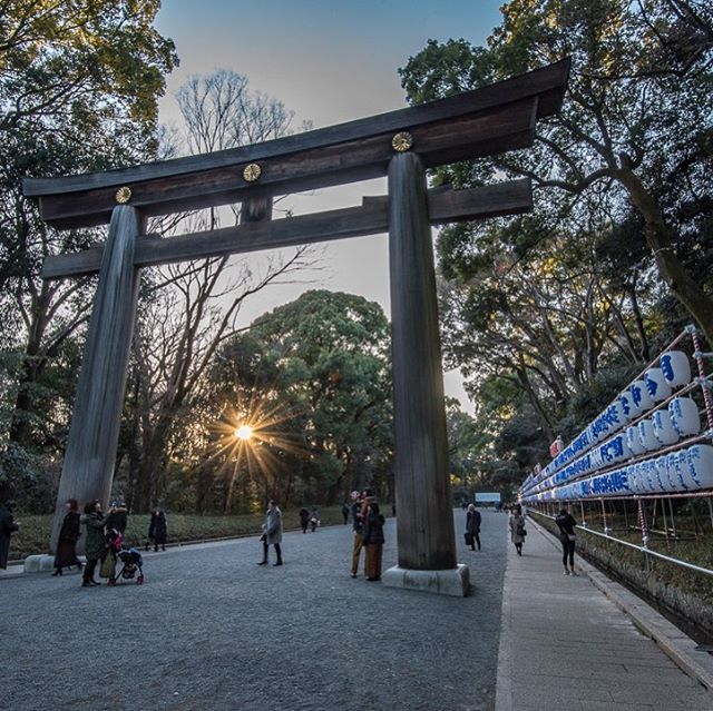 The Meiji Shrine in the middle of Tokyo is not only a sacred place, but is an amazing way to get away from the hustle and bustle of the city. The shrine was completed in 1920 and sits in a forest that covers 170 acres! #whereveryouland