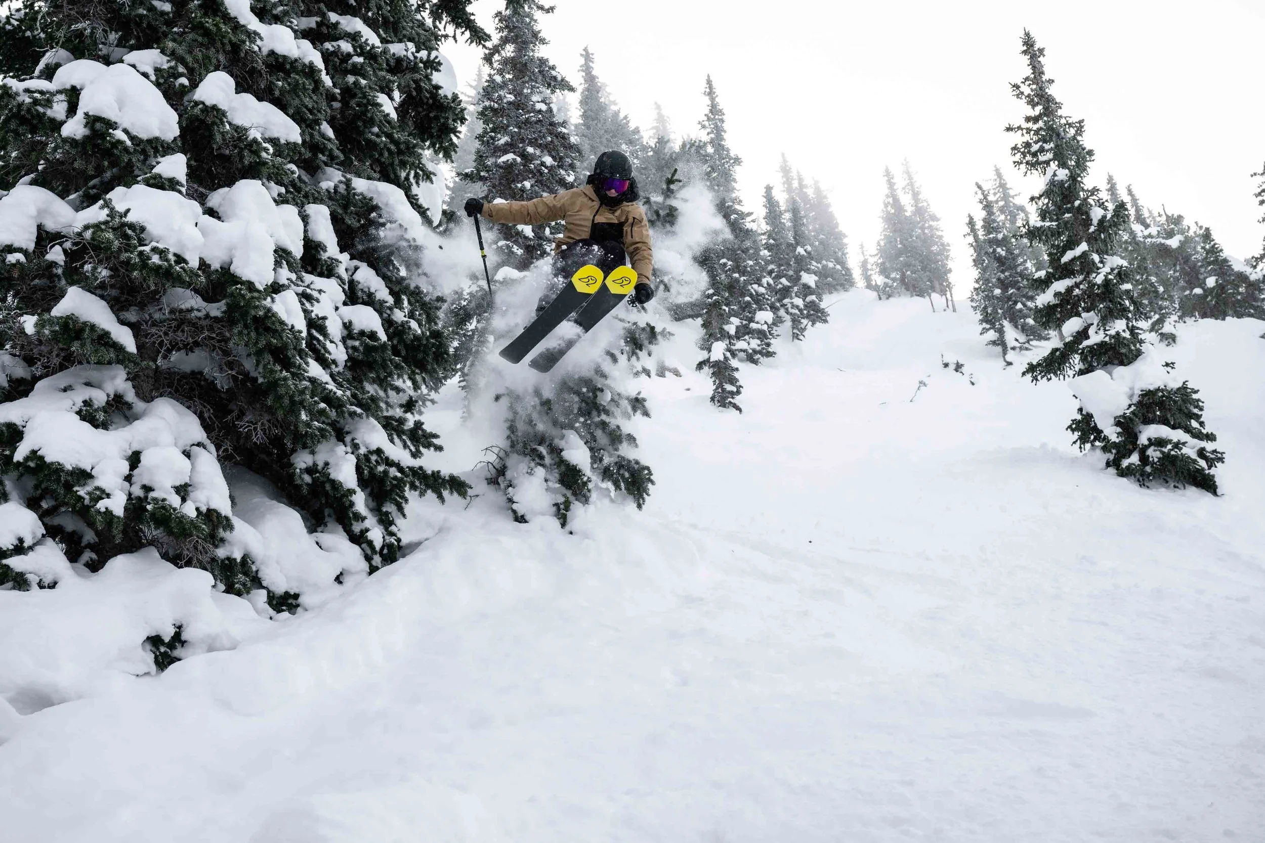 20230122-Snowpine Lodge-5479-Squarespace.jpg