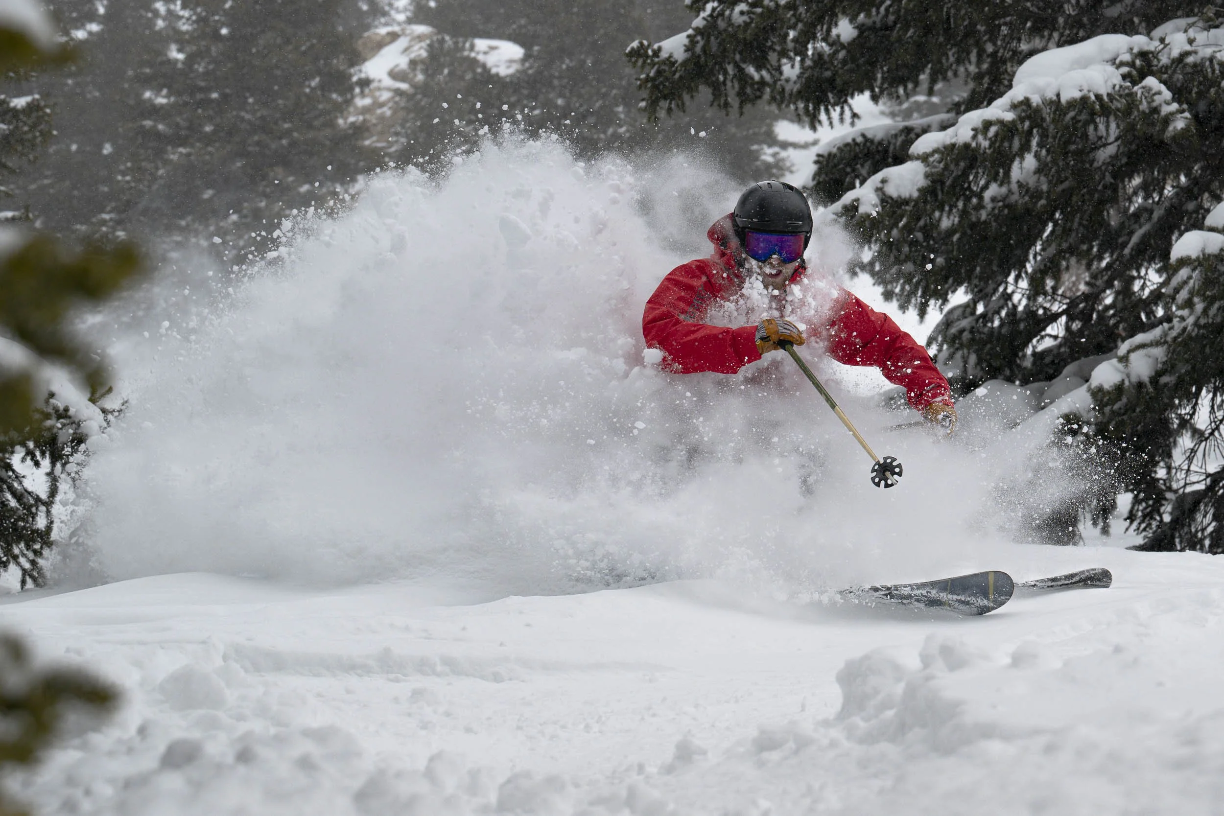 20240305-Snowpine_Winter-5066.jpg