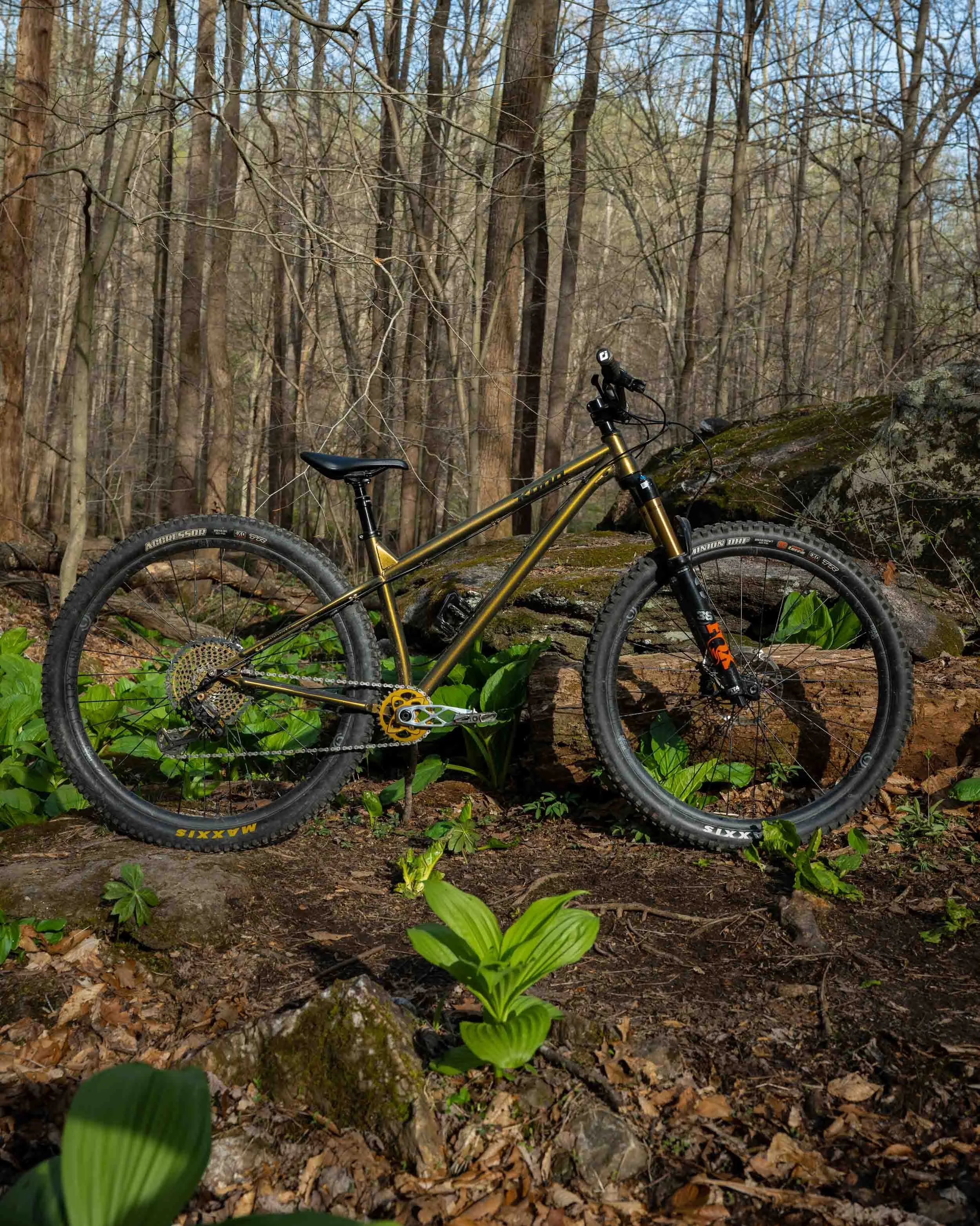 20230412-Mountain Bike-1598-Squarespace.jpg