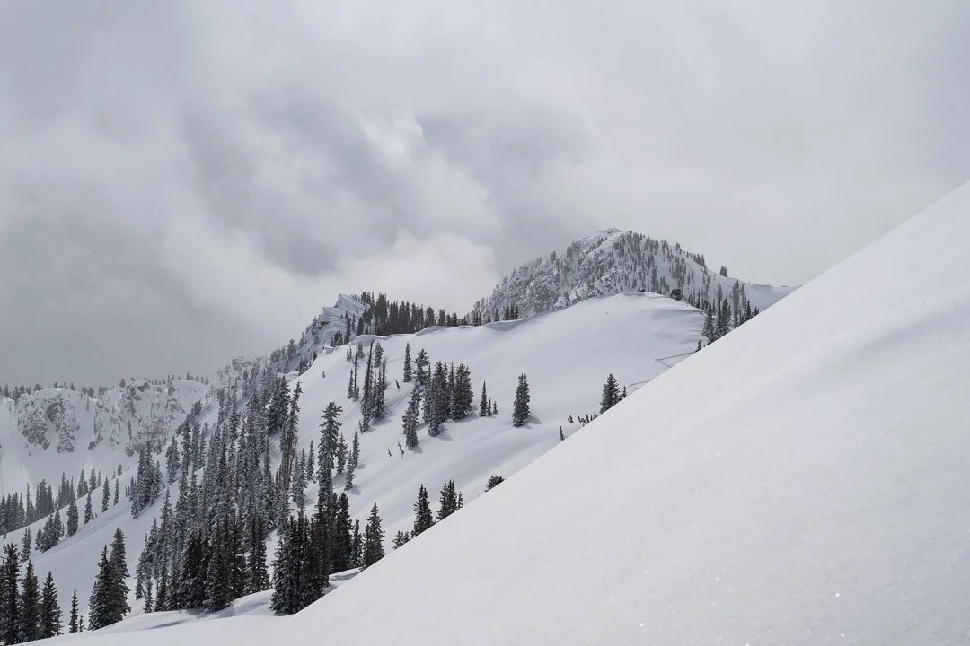20240305-Snowpine_Winter-4939.jpg