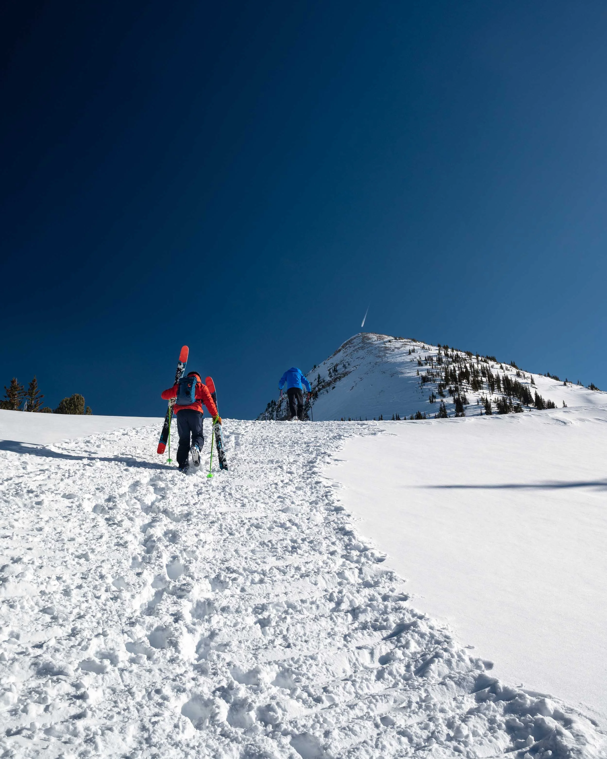 20220110-Snowpine Lodge-1315-Edit-Squarespace.jpg