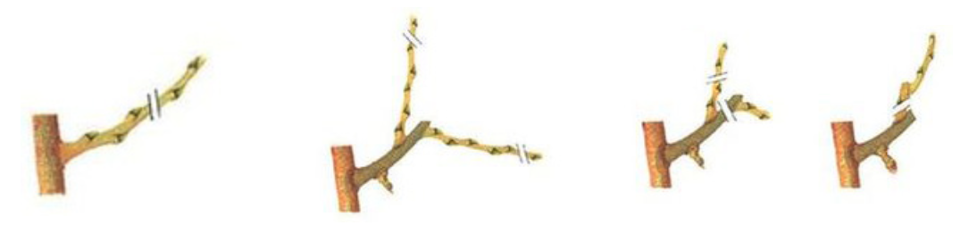 Capture d’écran 2018-03-28 à 09.41.46.png