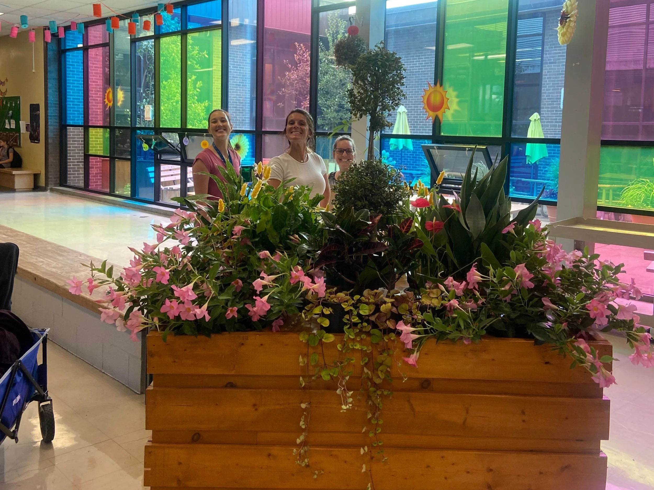 Aménagement de plantes d'intérieur dans une école secondaire de Lanaudière.