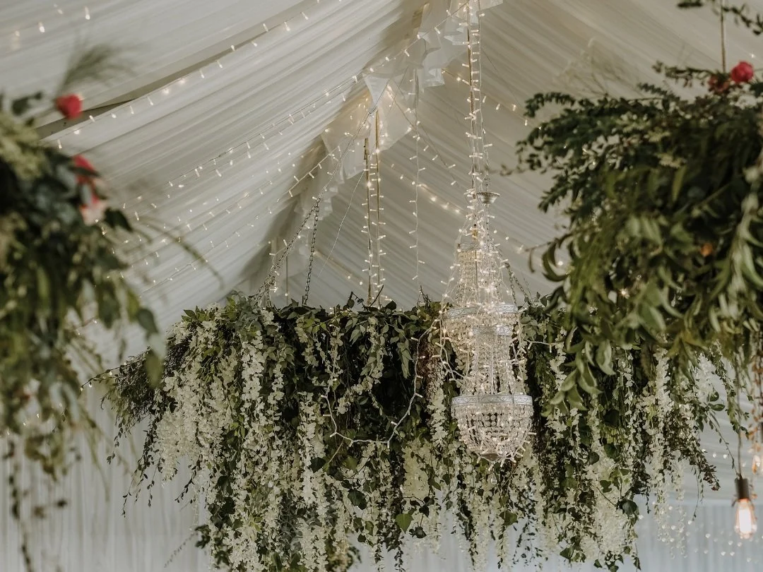 Aménagement de plantes en location dans un mariage.
