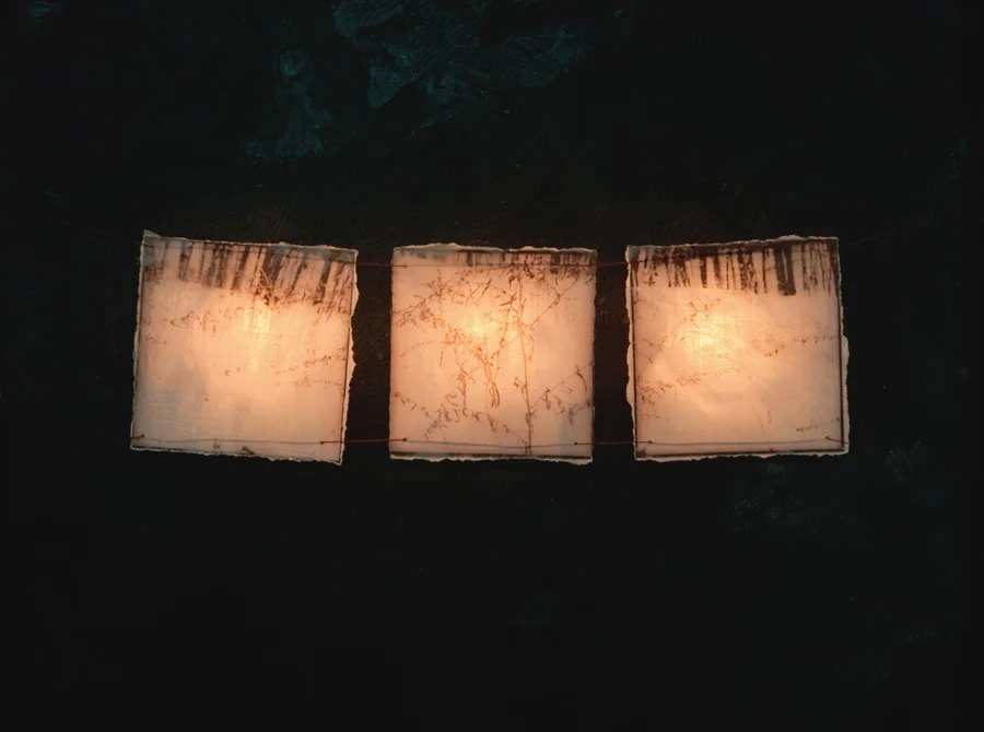 Winter (detail) , 2003 Wood box, photography, encaustic, thread and lights 12.5" x 11.5" x 3.5"
