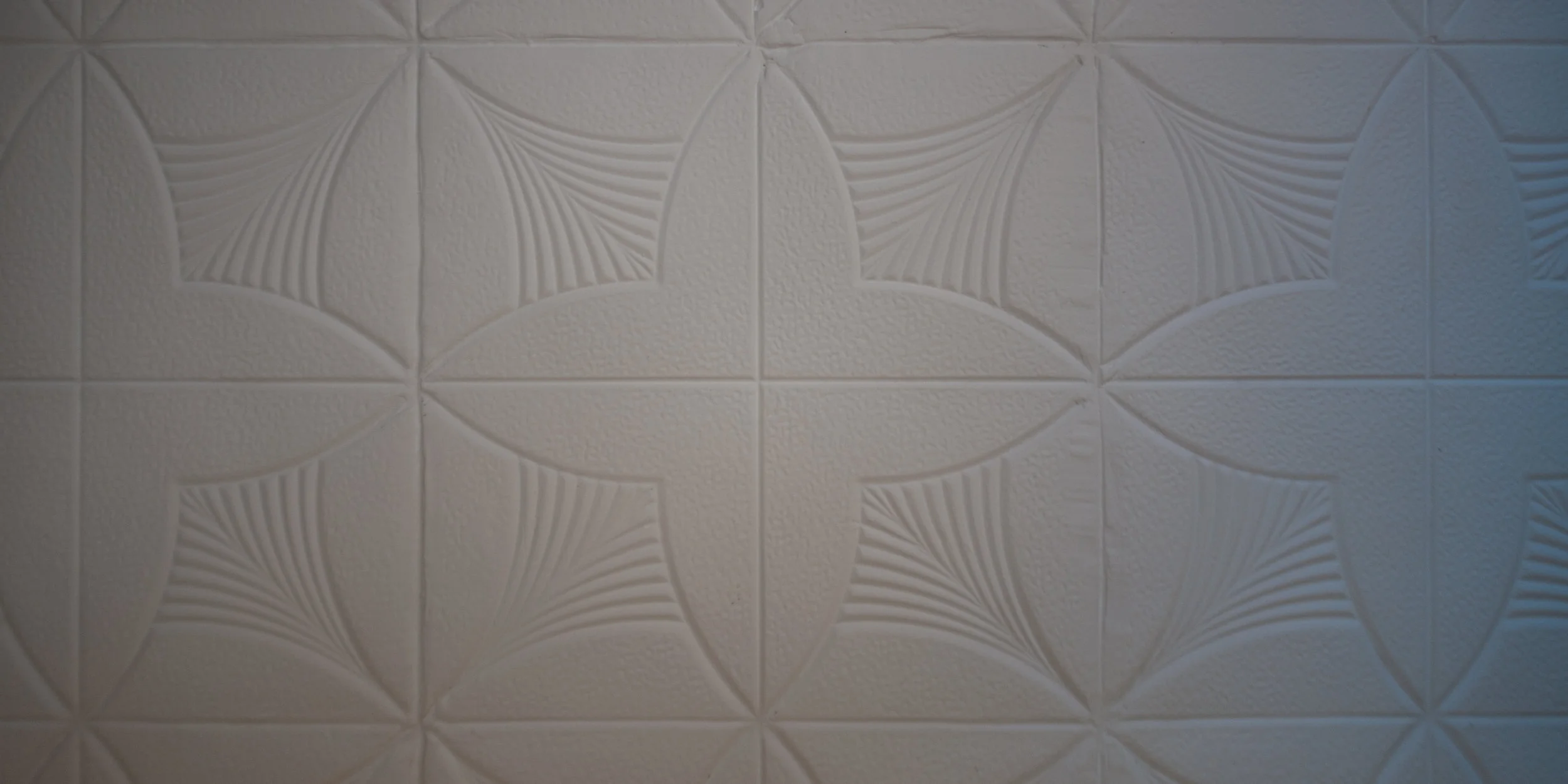 DTP-D700-0855.jpg