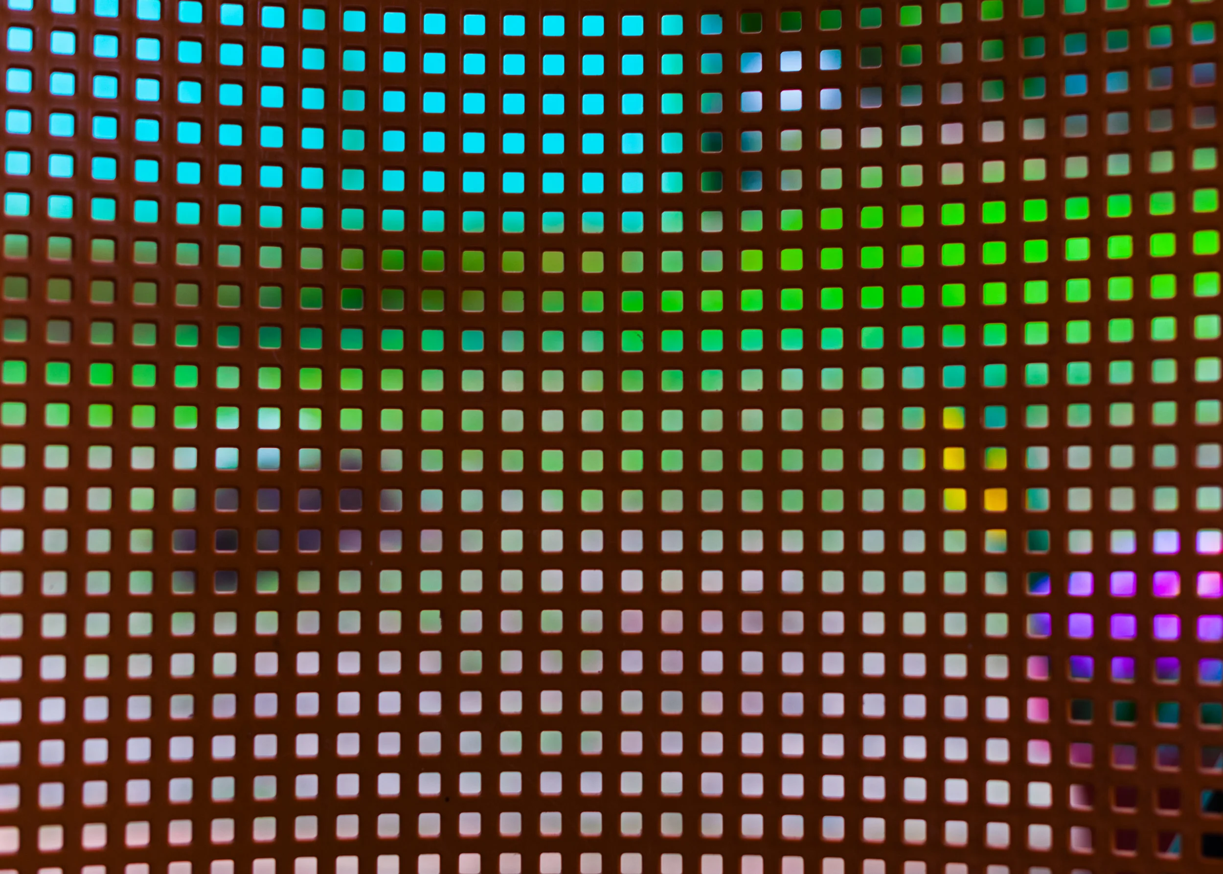 DTP-D700-9239.jpg