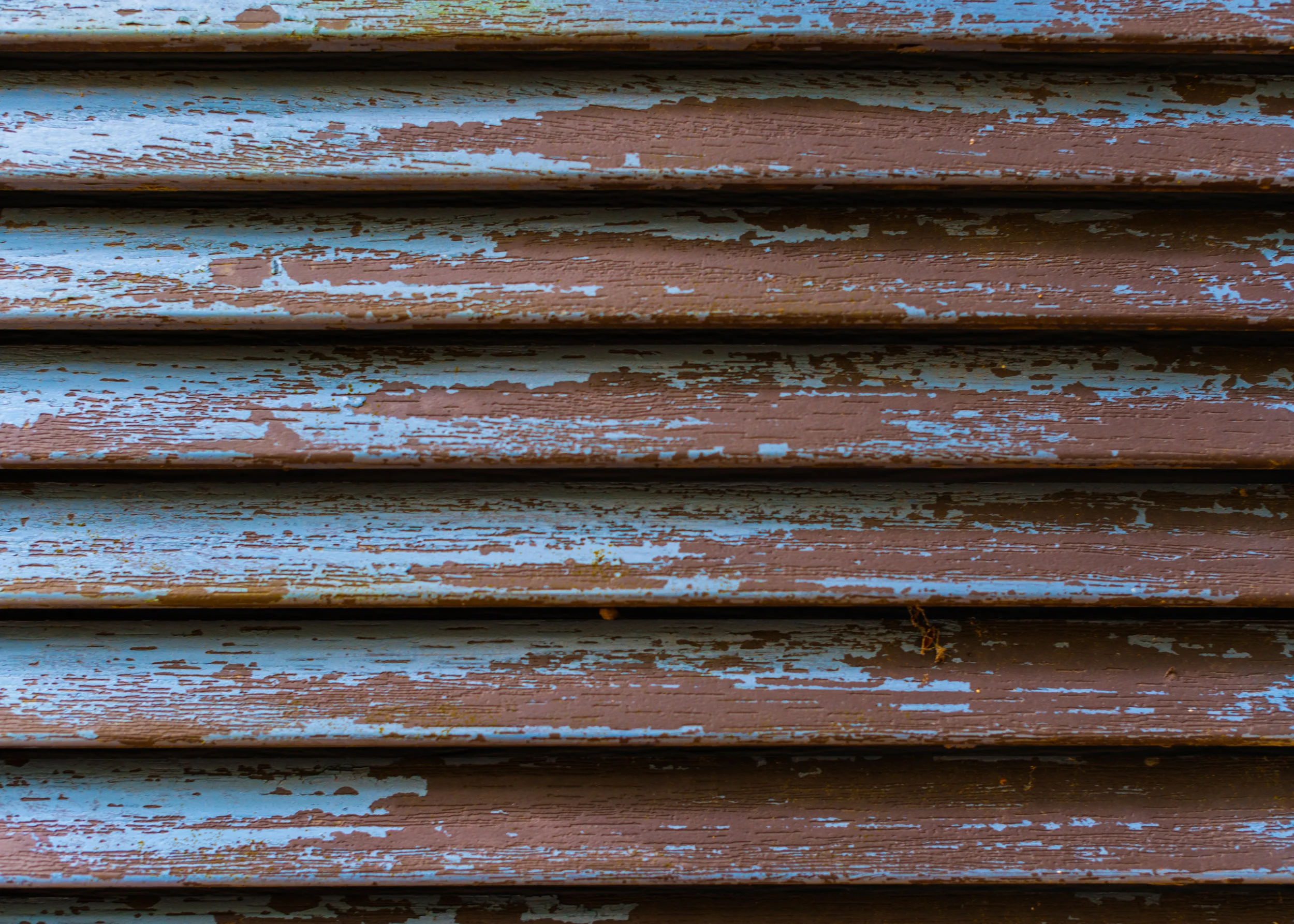 DTP-D700-9235.jpg
