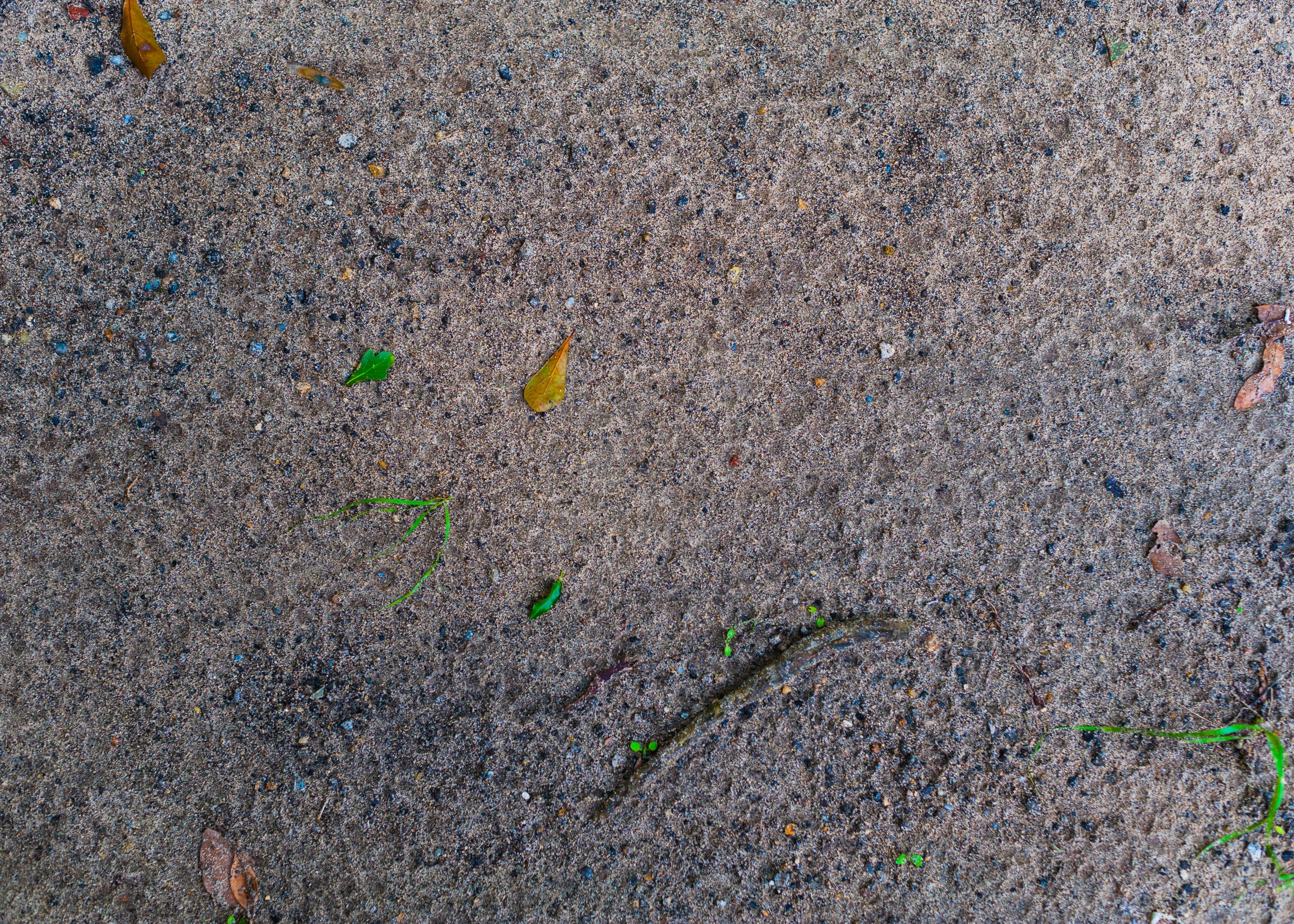 DTP-D700-9237.jpg