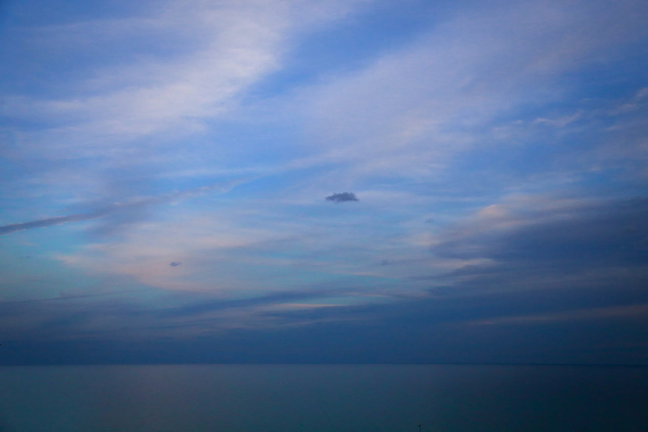 IMG_3191.jpg