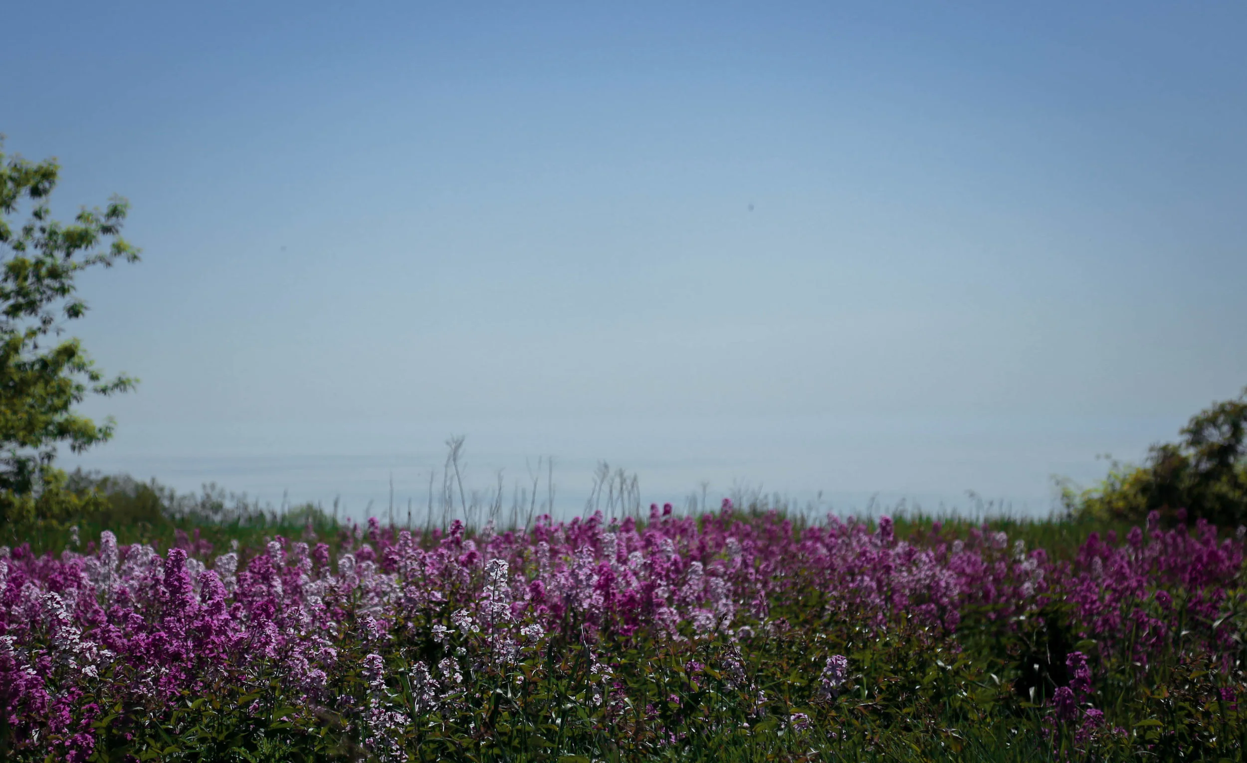 IMG_8831.jpg