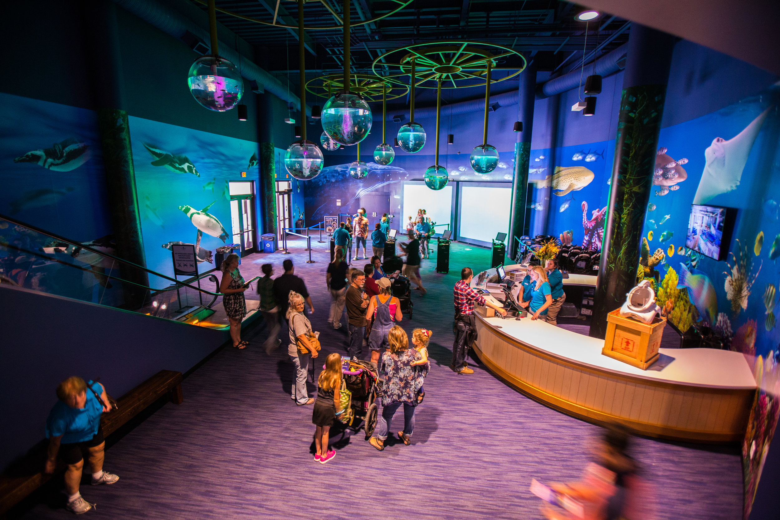Aquarium at the OdySea in the Desert — Deutsch Architecture Group - AquaLobby 7